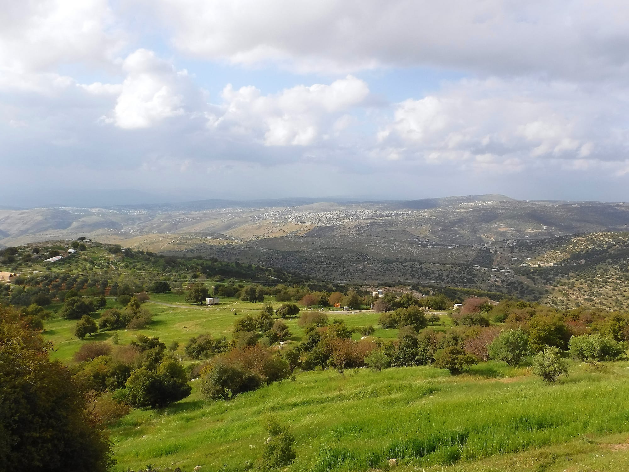 Mar Elias area