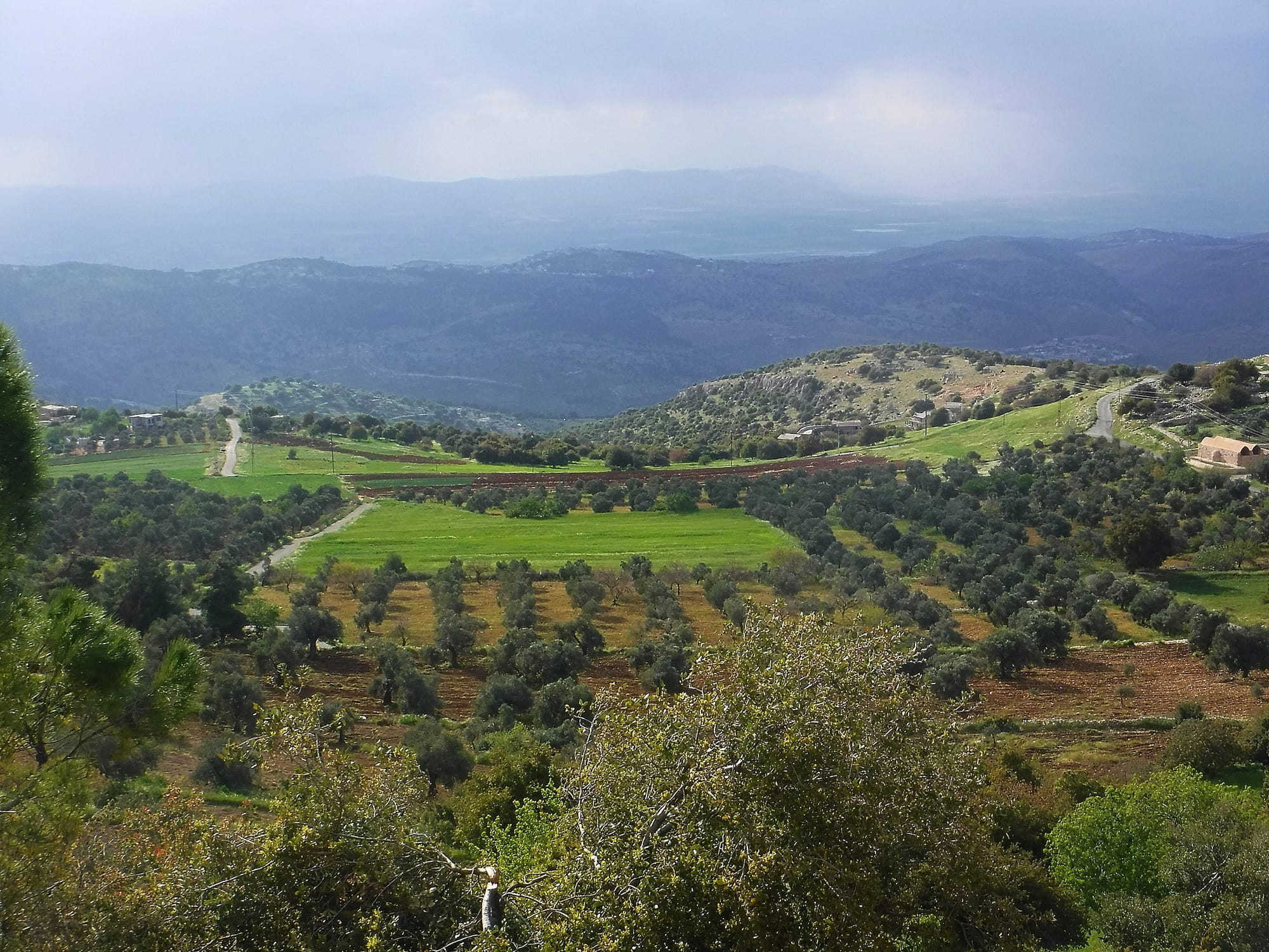 Mar Elias area