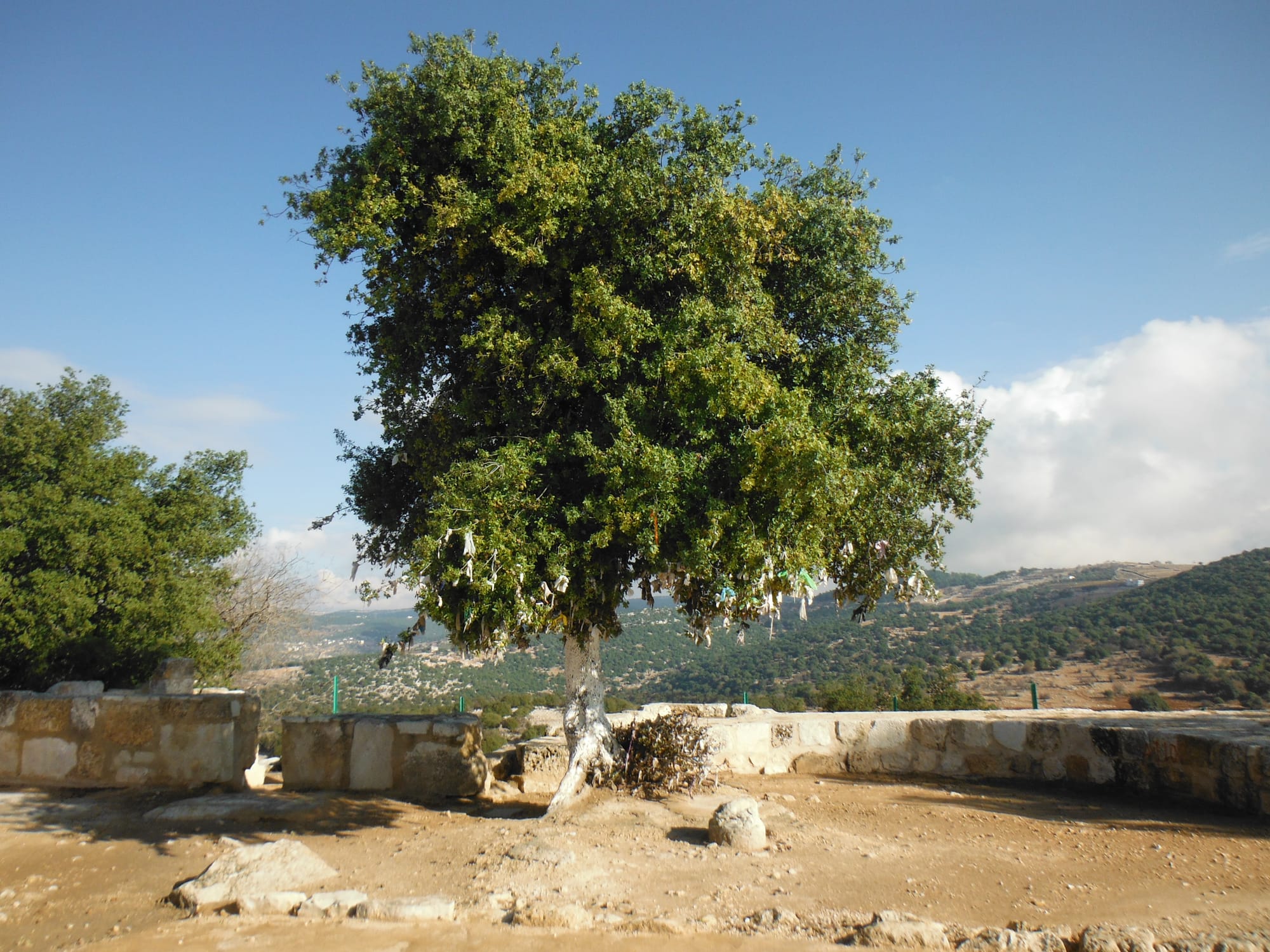 Mar Elias Sanctuary