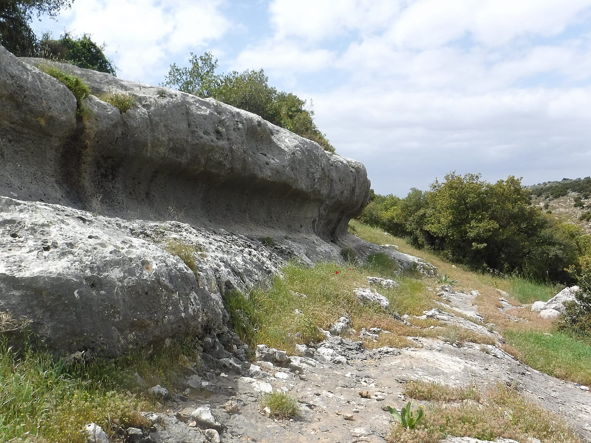 Mar Elias area