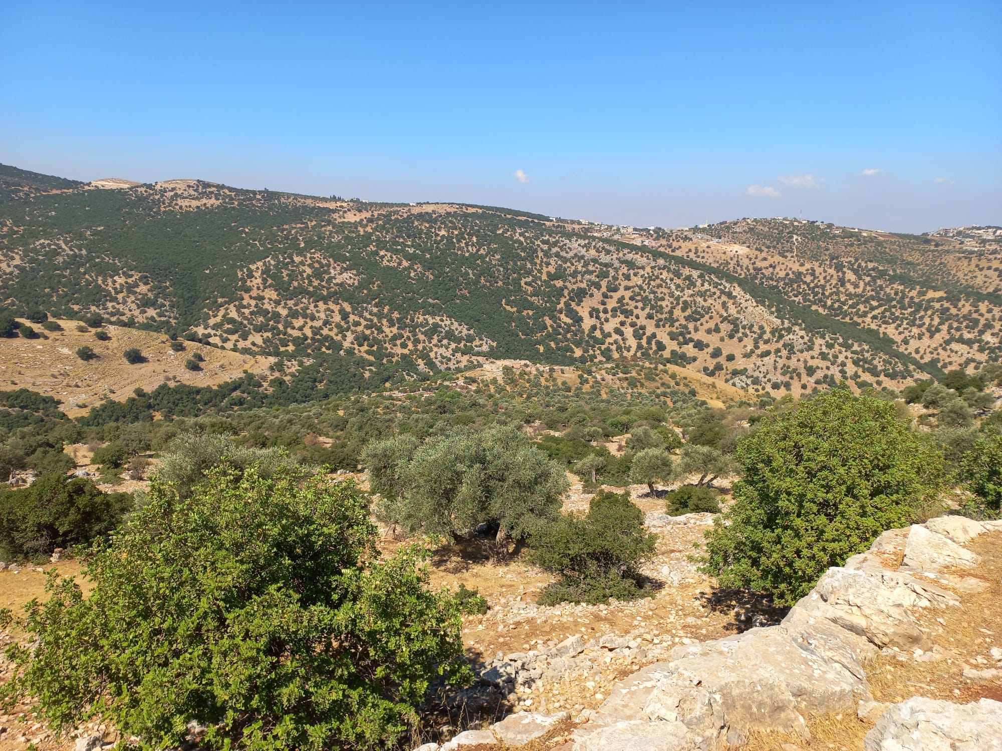 Mar Elias area