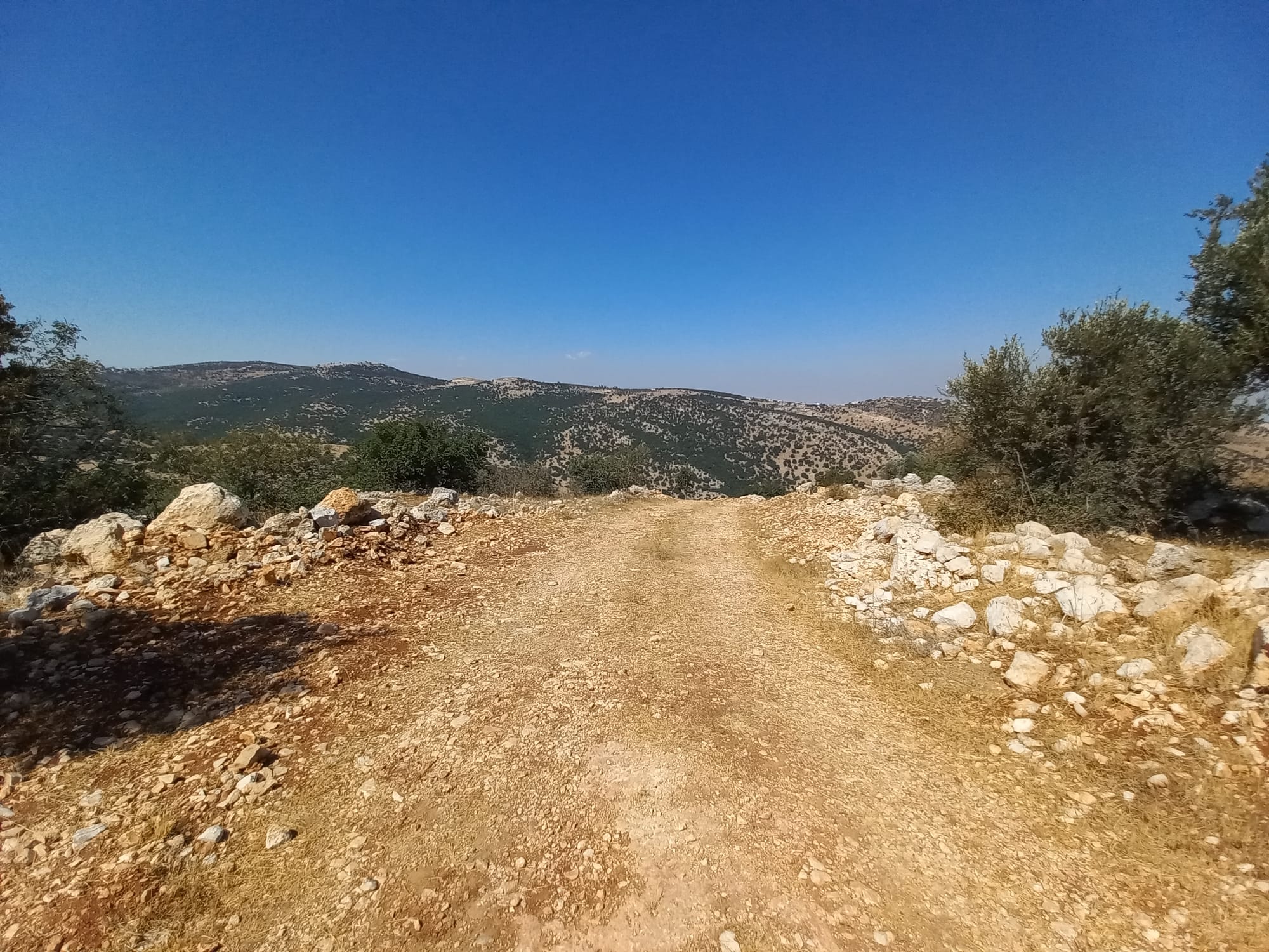 Mar Elias area