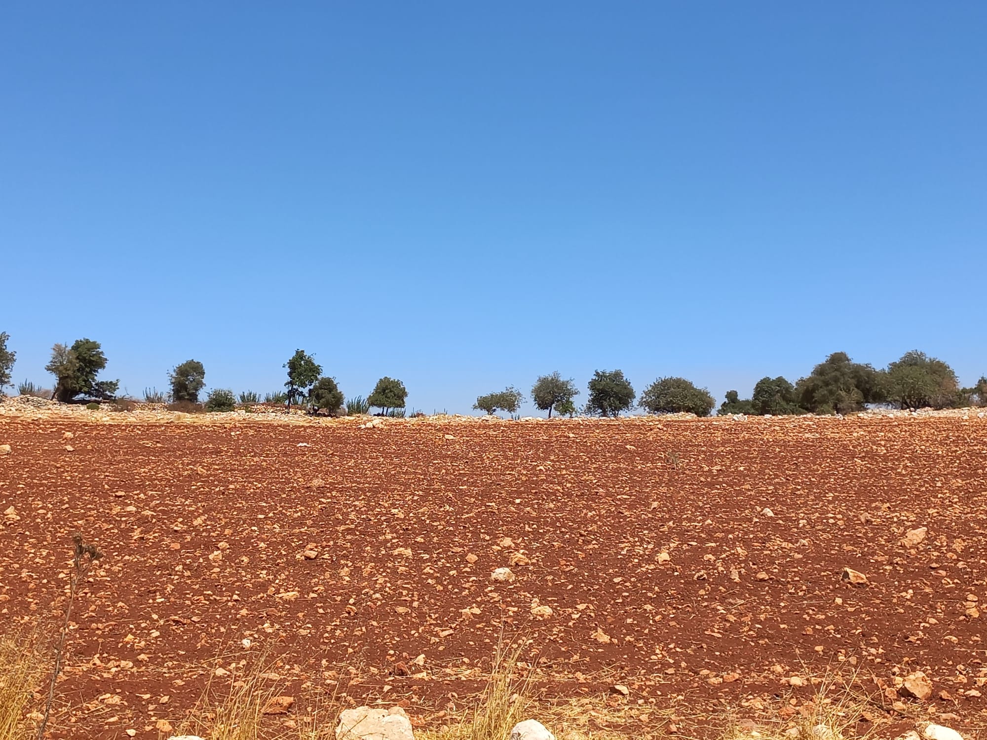 Mar Elias area