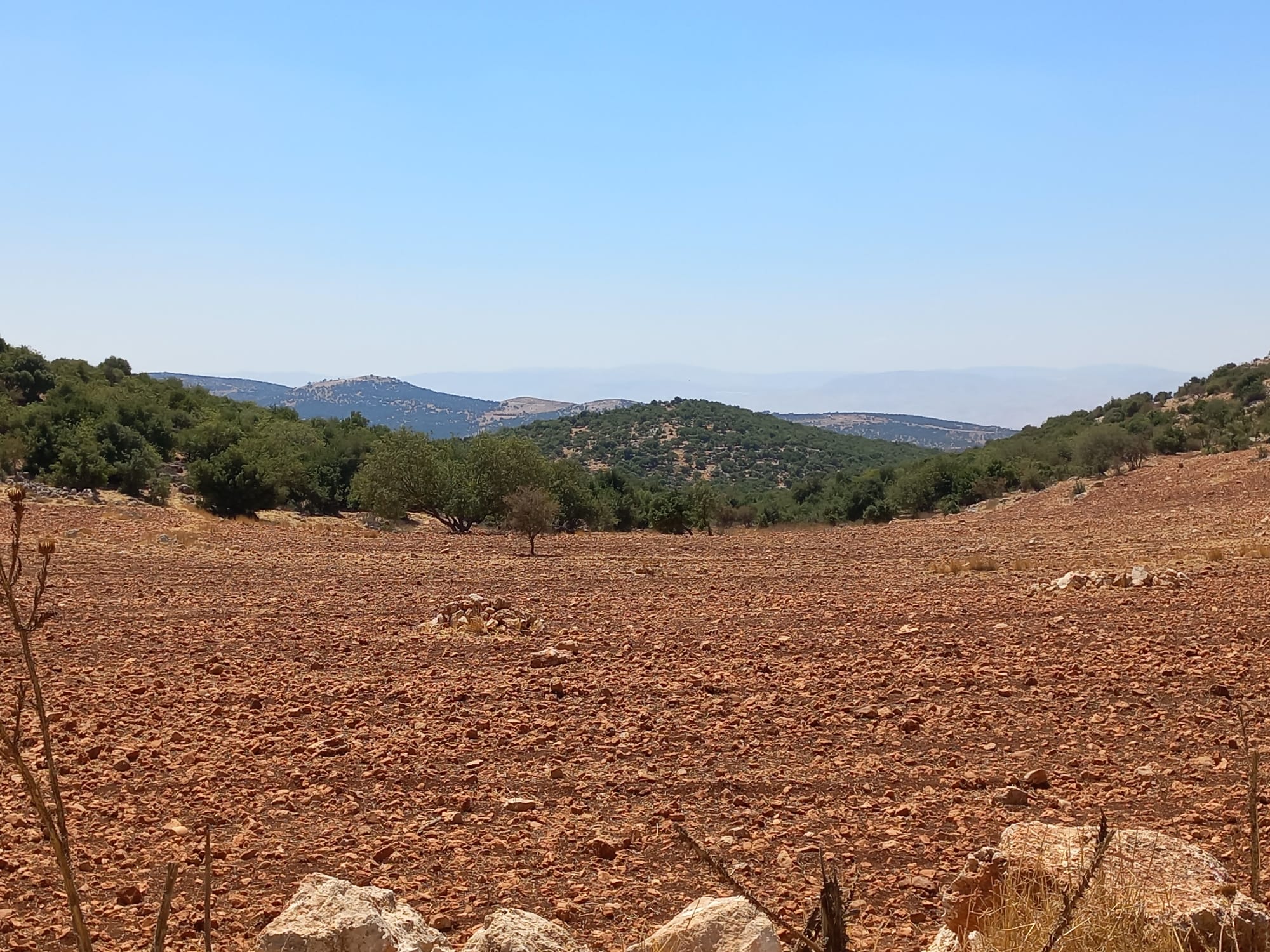 Mar Elias area