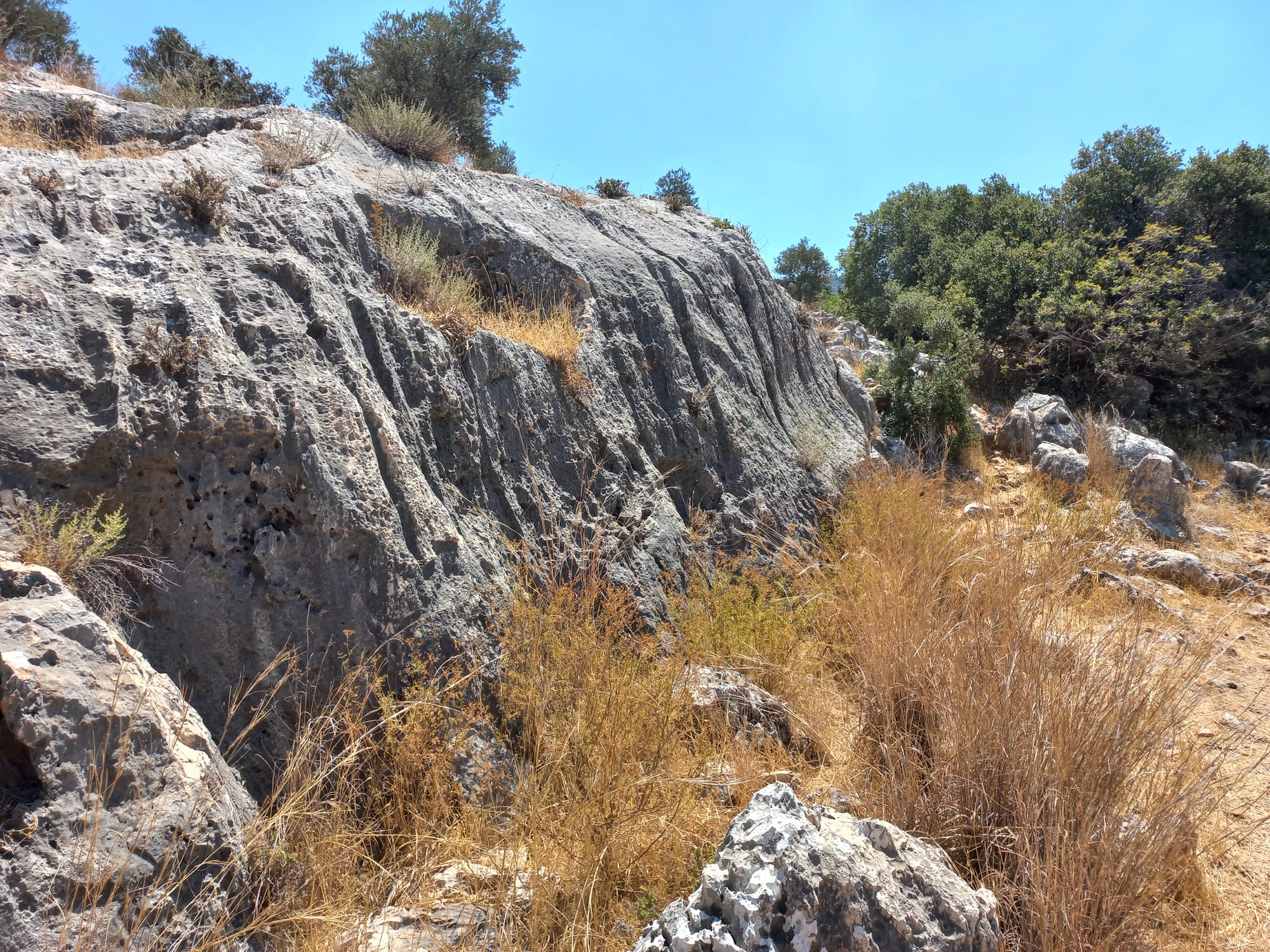 Mar Elias area
