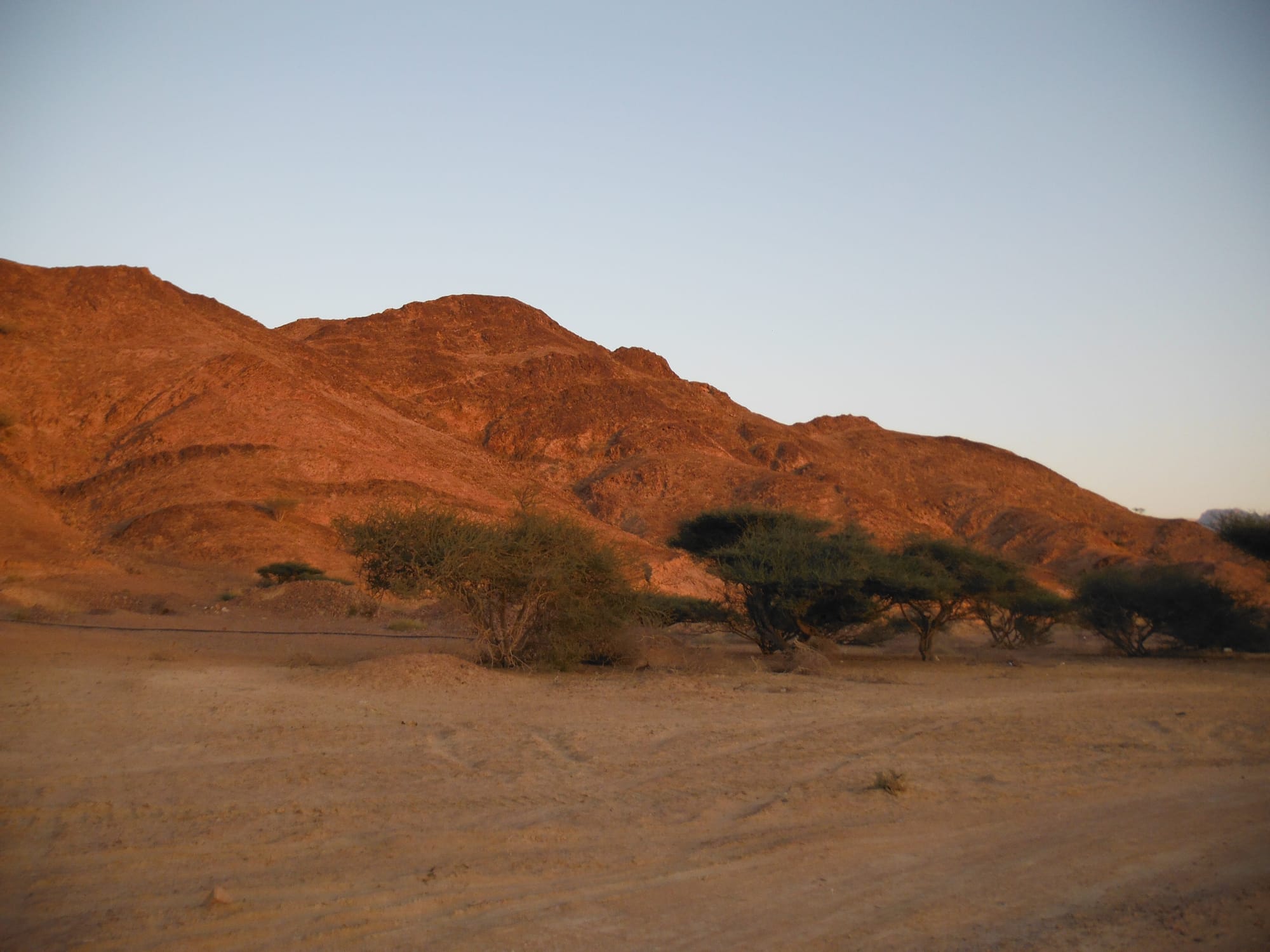 Wadi Araba