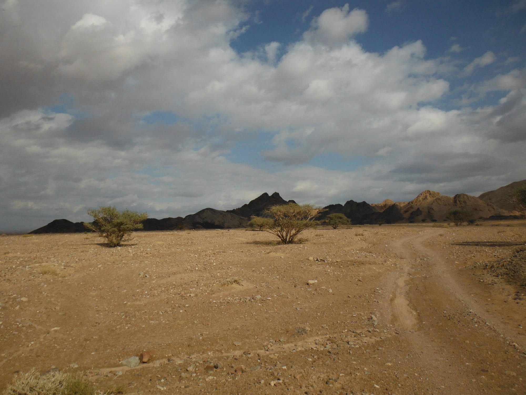 Wadi Araba
