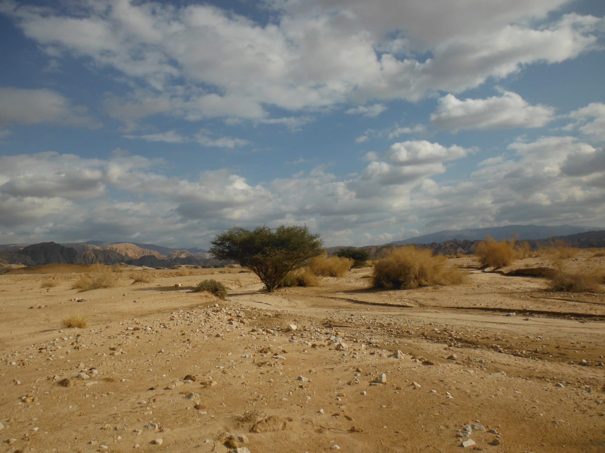 Wadi Araba