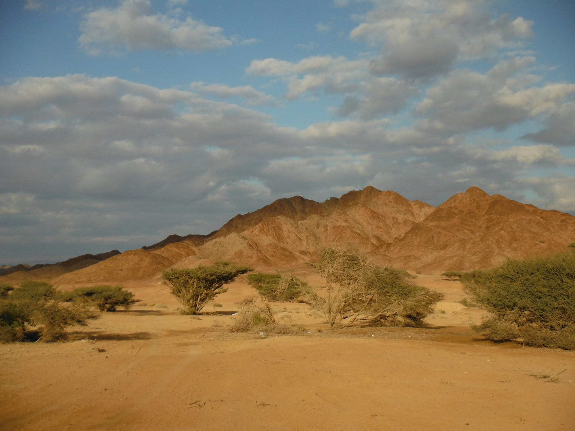 Wadi Araba