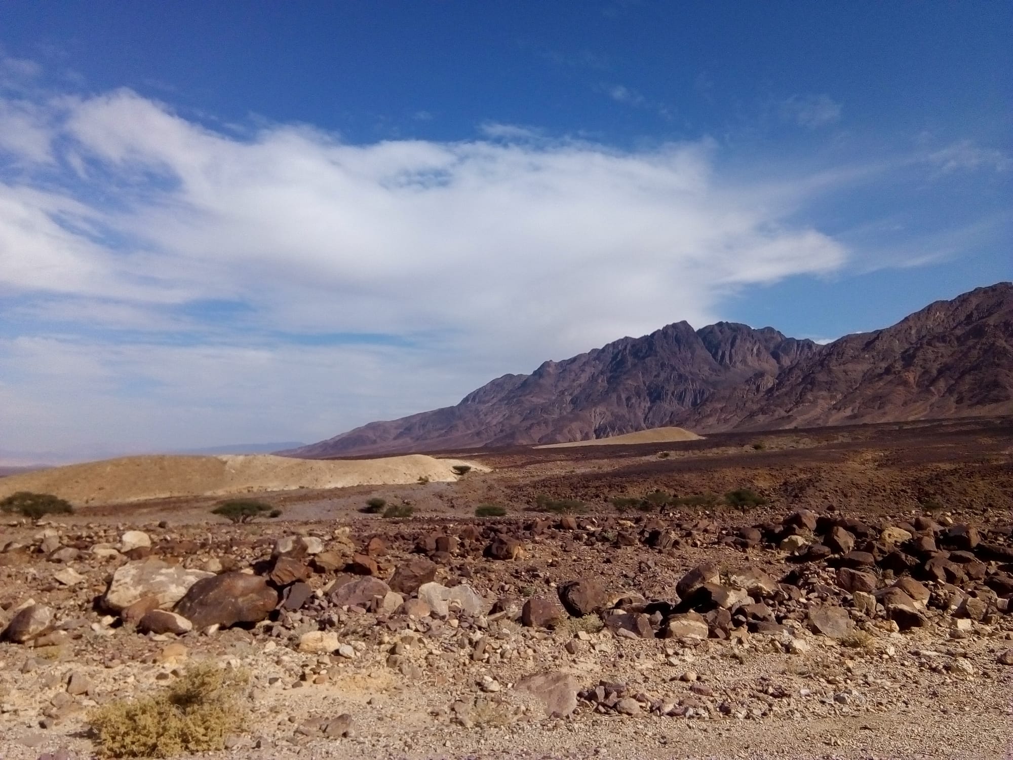 Wadi Araba