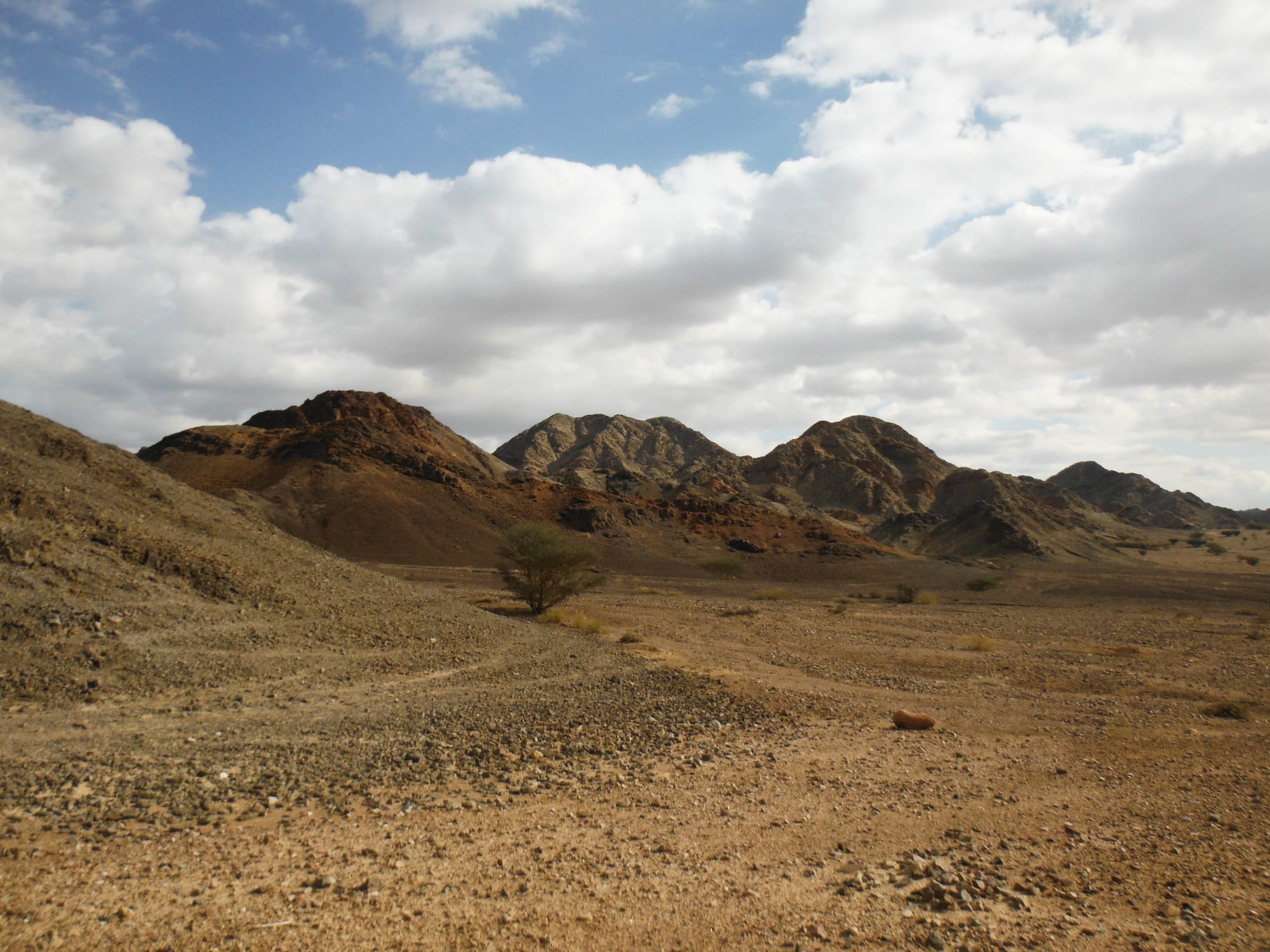 Wadi Araba