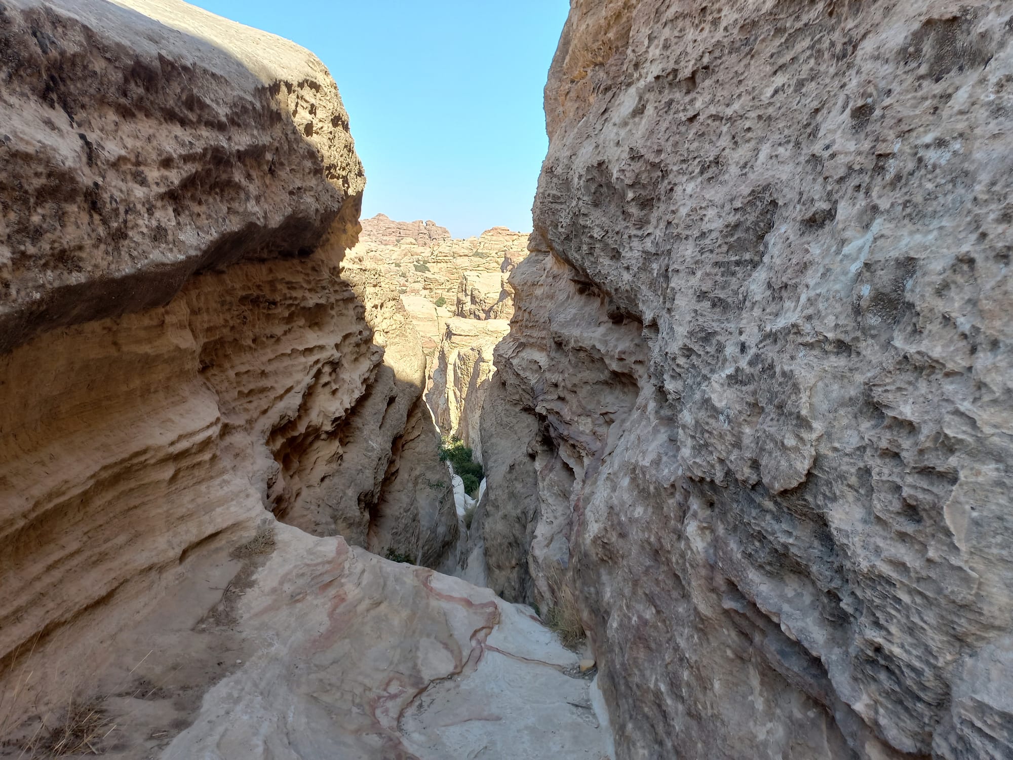 Shaq El Reesh area (Dana)