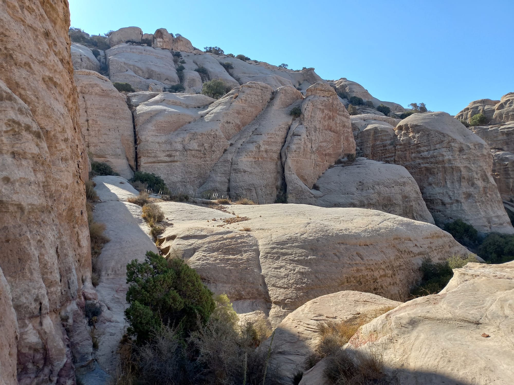 Shaq El Reesh area (Dana)