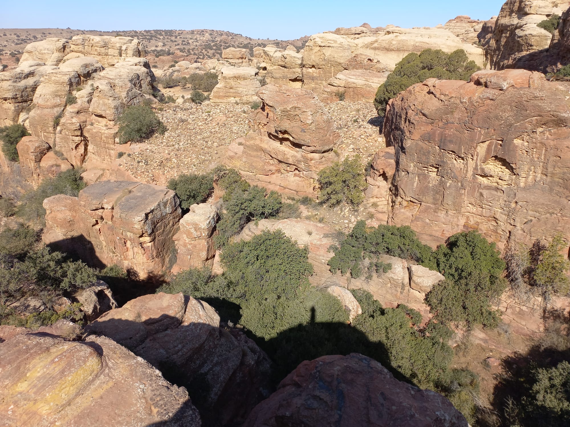 Shaq El Reesh area (Dana)