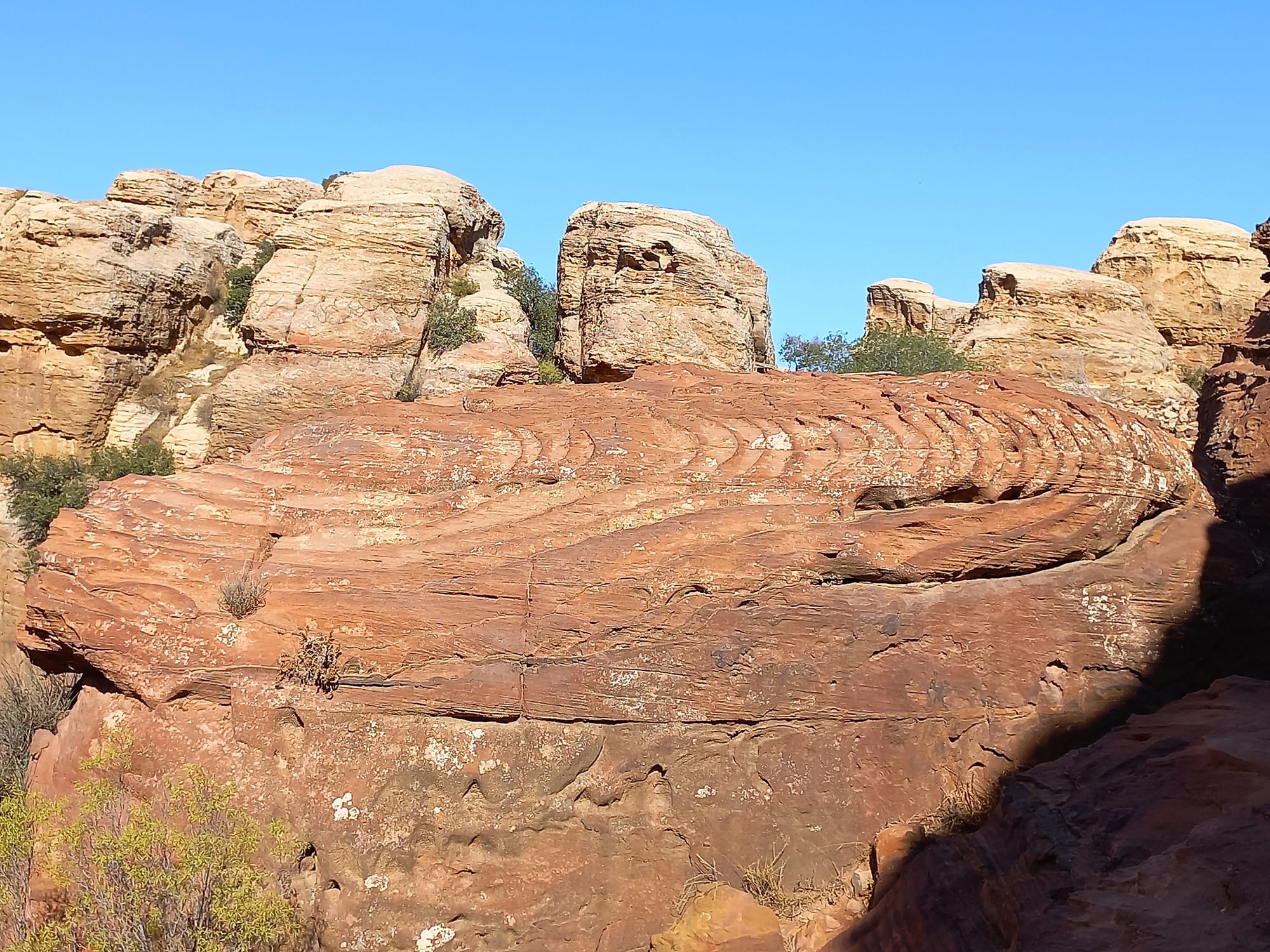 Shaq El Reesh area (Dana)