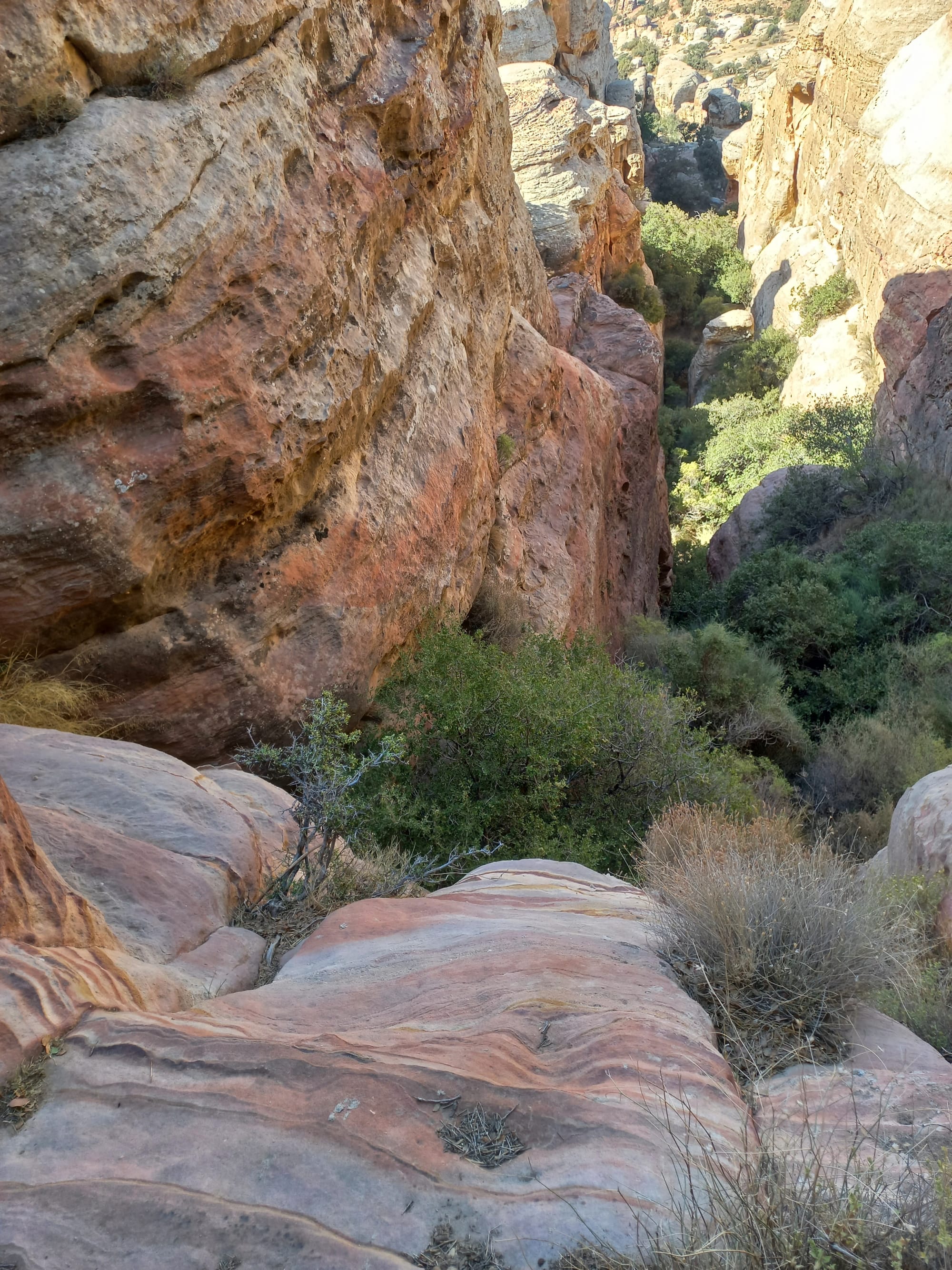 Shaq El Reesh area (Dana)