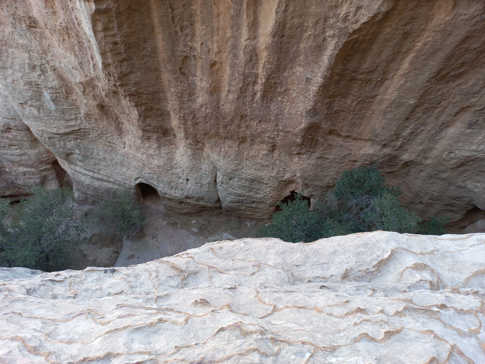 Shaq El Reesh area (Dana)