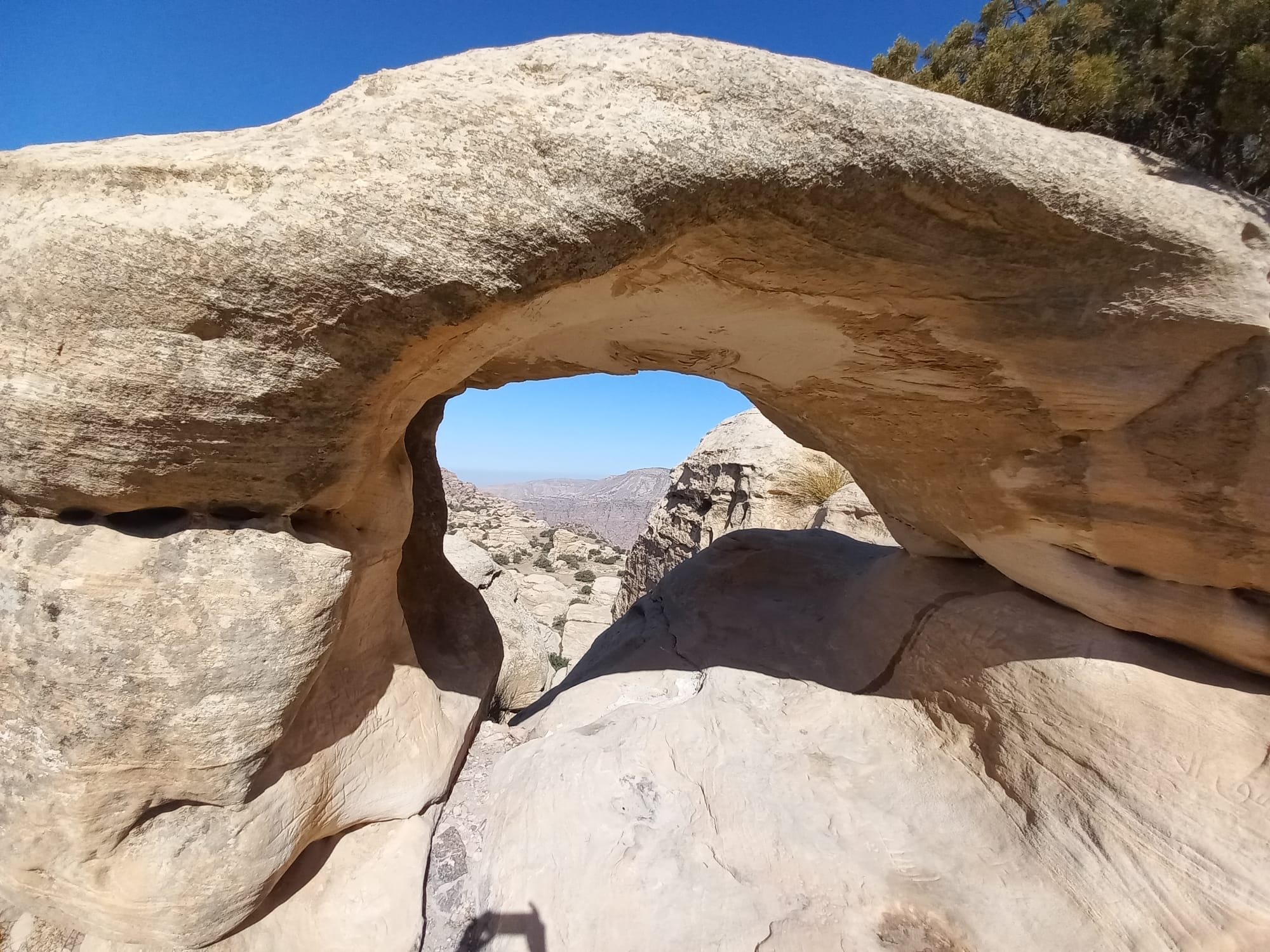 Shaq El Reesh area (Dana)