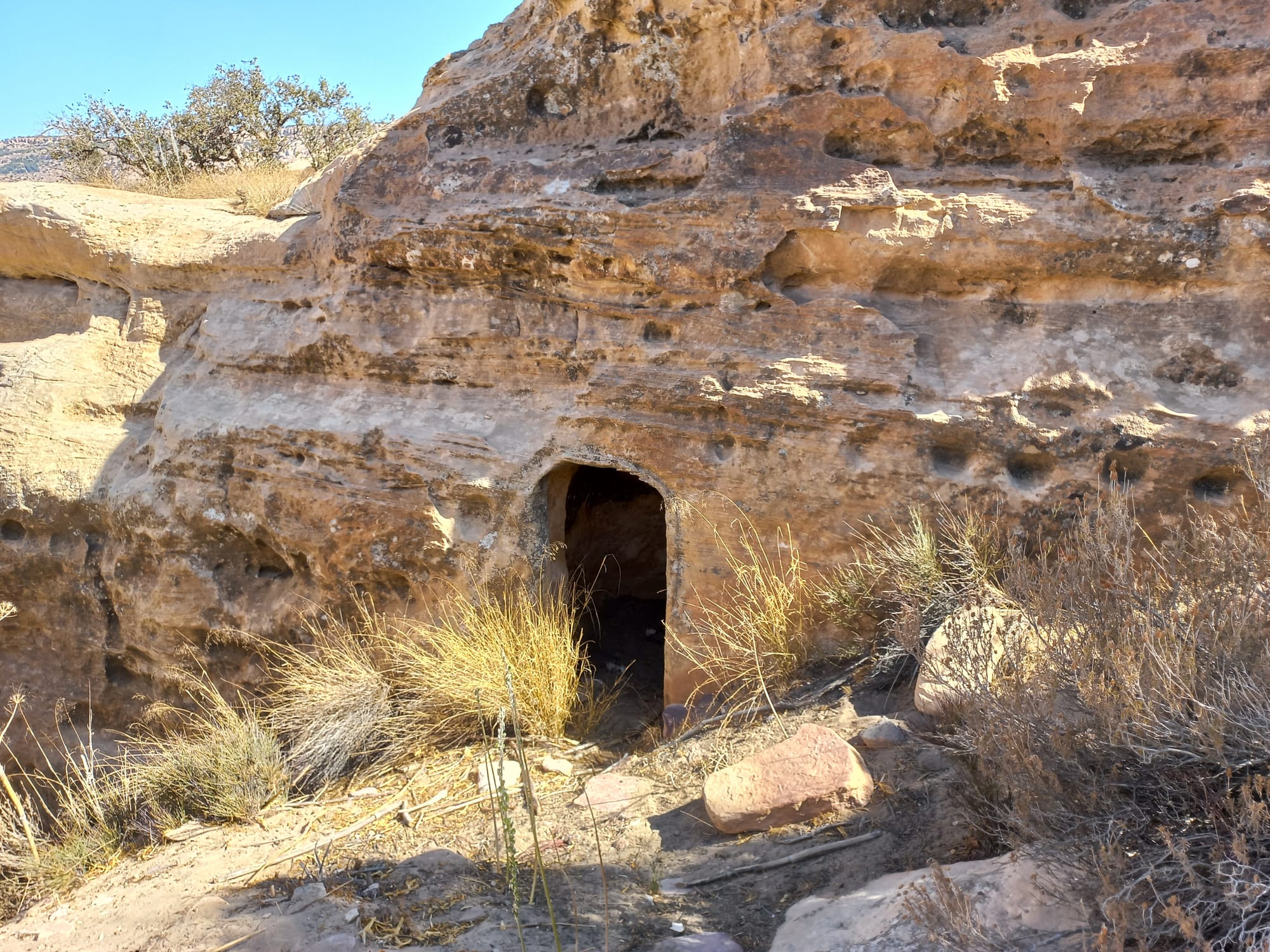 Shaq El Reesh area (Dana)