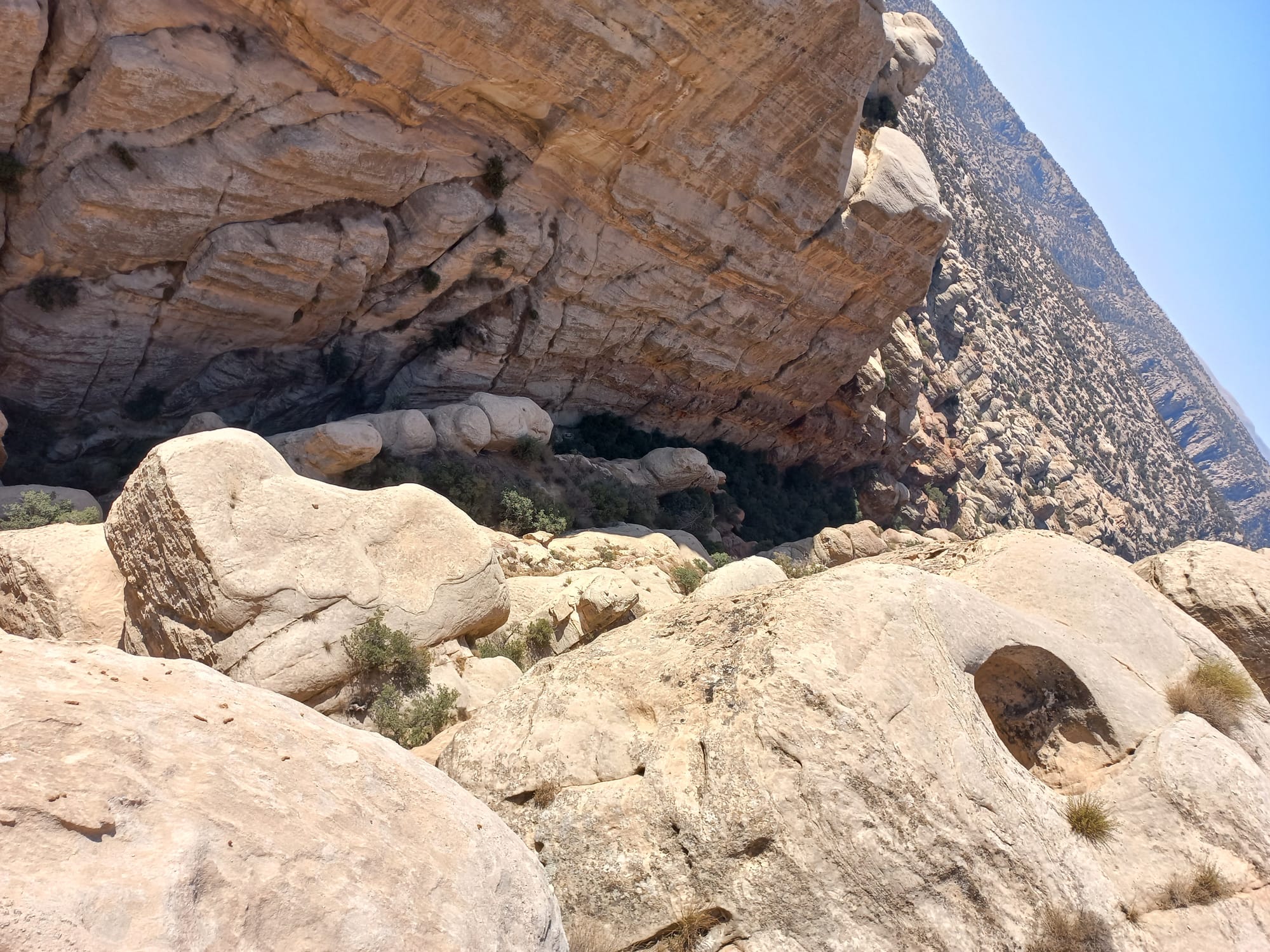 Shaq El Reesh area (Dana)