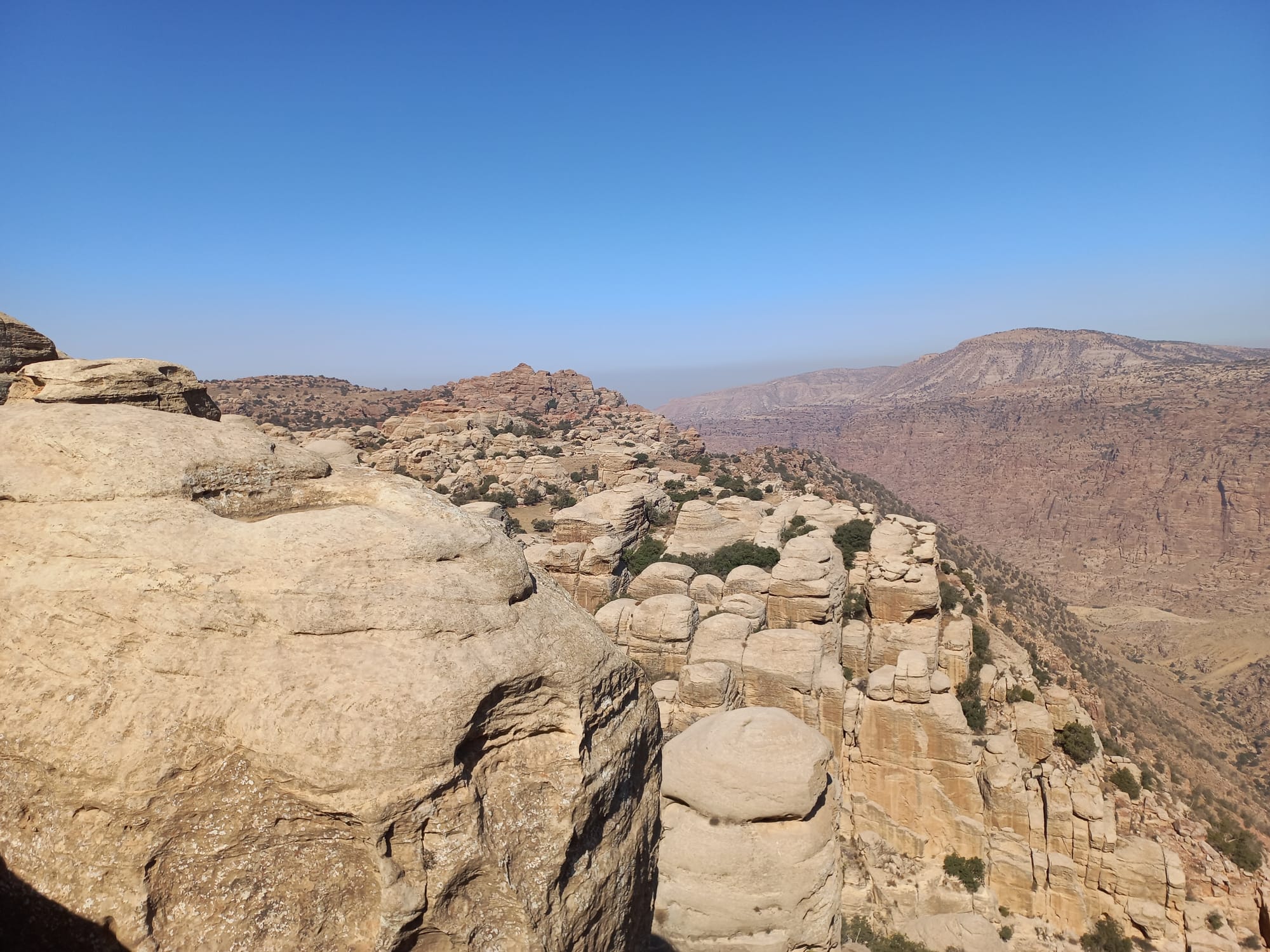 Shaq El Reesh area (Dana)