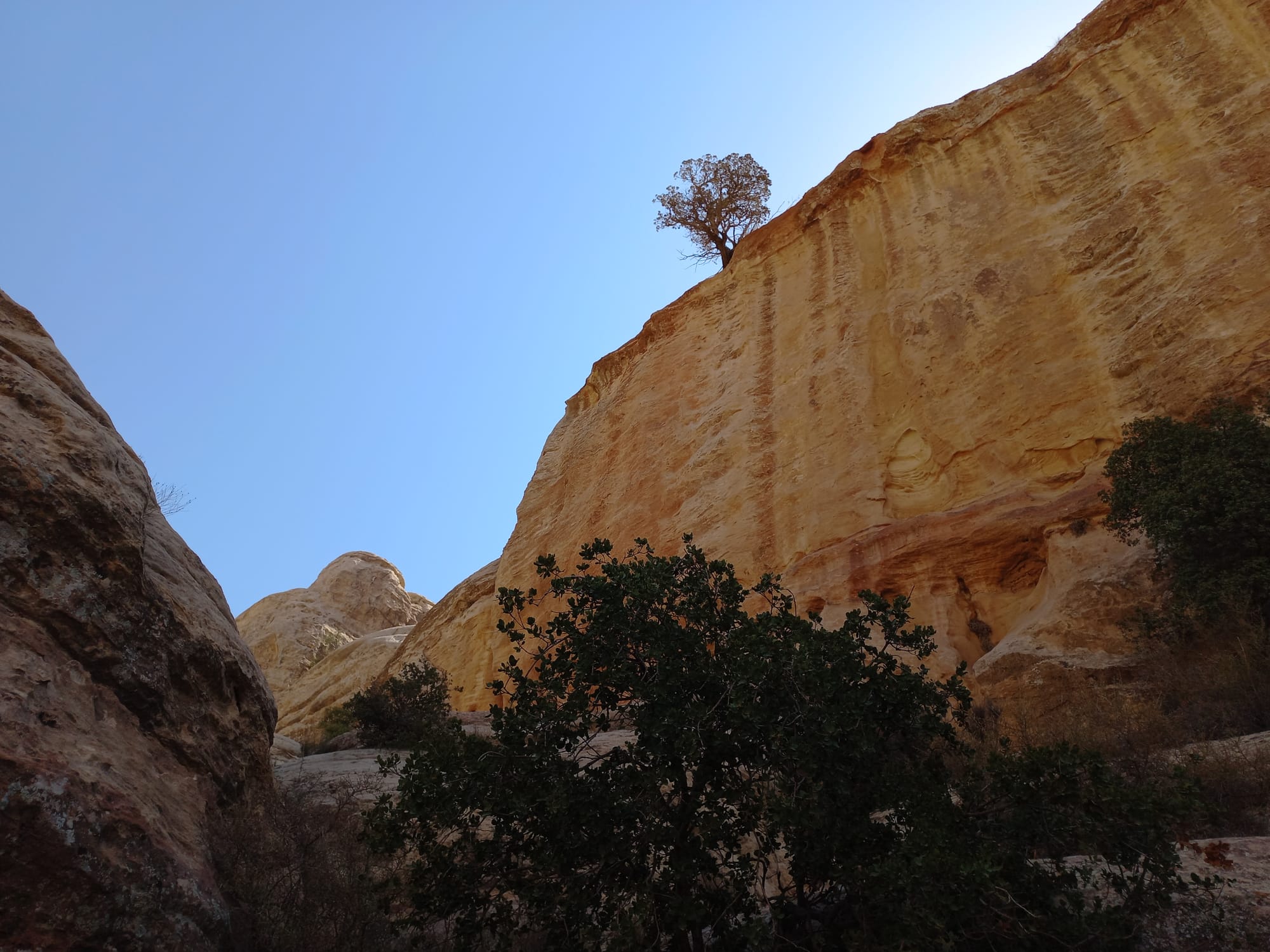 Shaq El Reesh area (Dana)