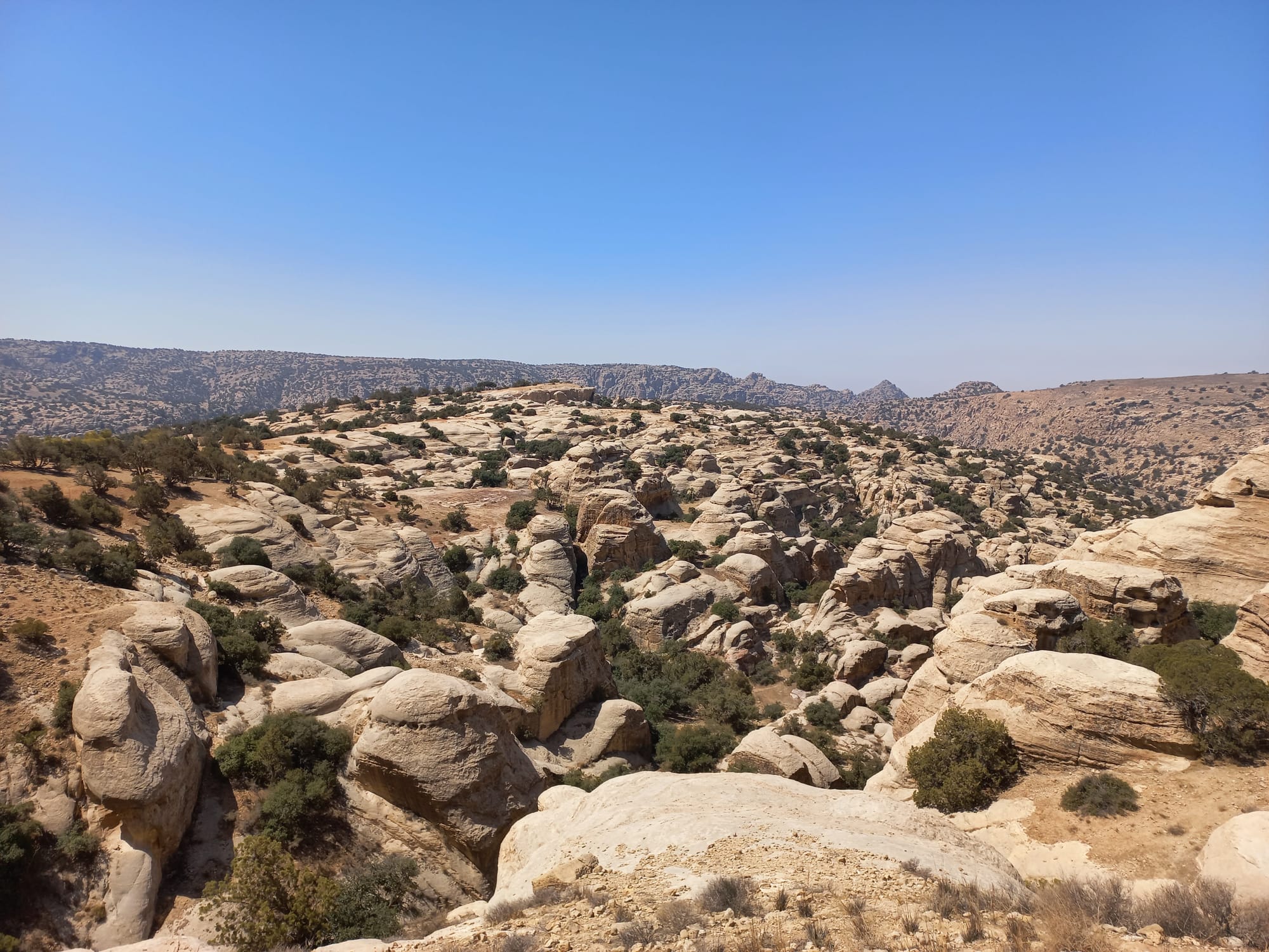 Shaq El Reesh area (Dana)