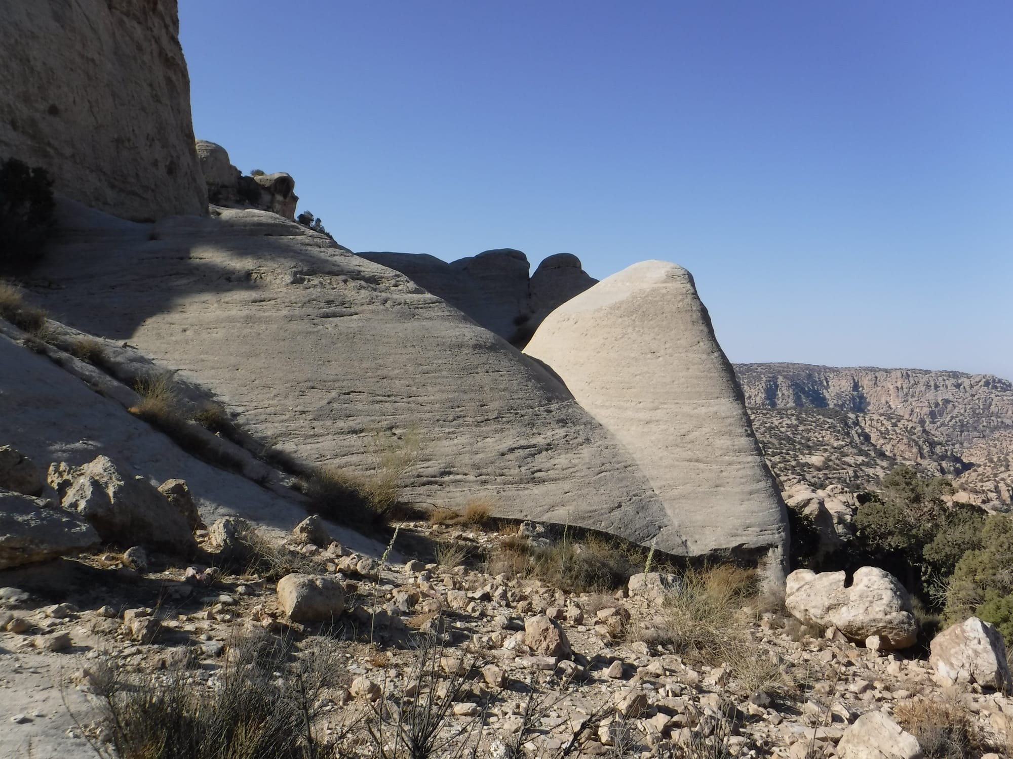 Shaq El Reesh area (Dana)