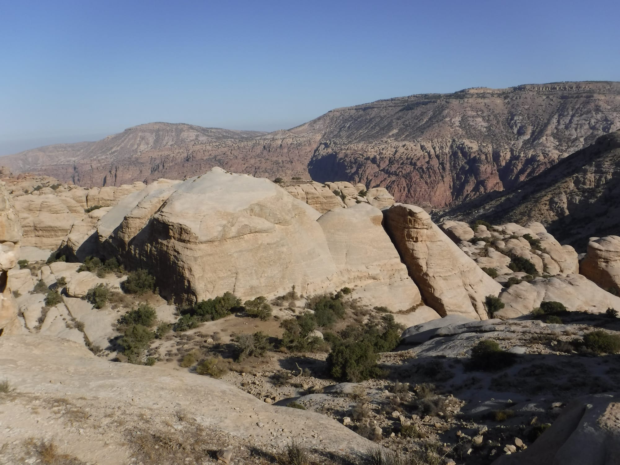 Shaq El Reesh area (Dana)