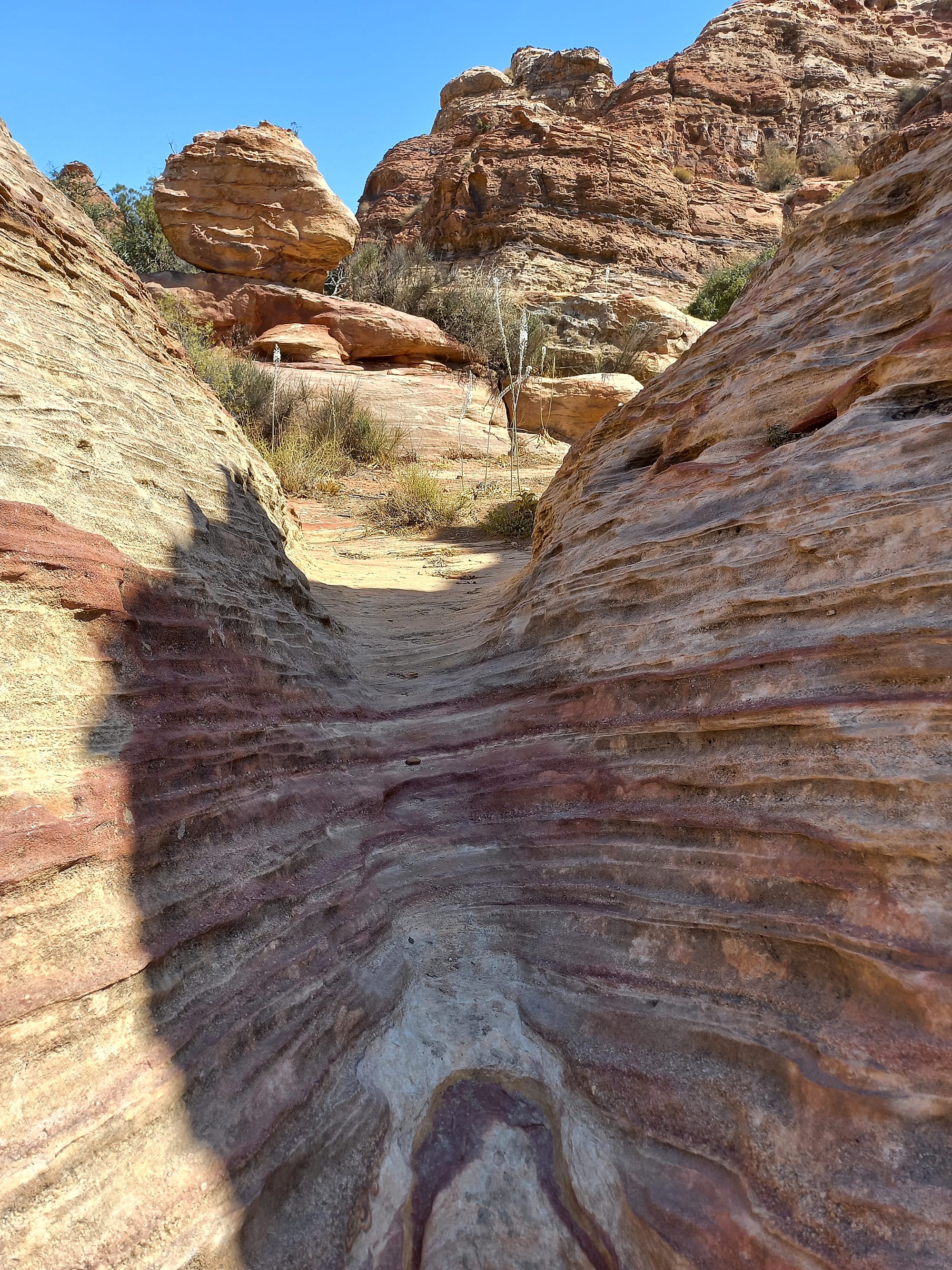 Shaq El Reesh area (Dana)