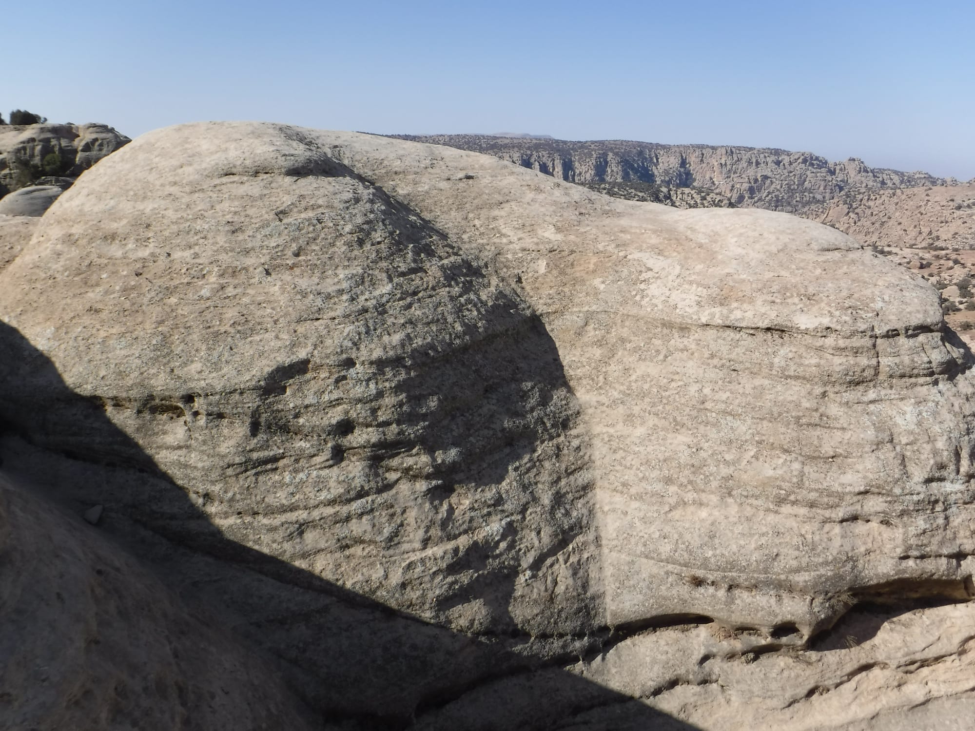 Shaq El Reesh area (Dana)