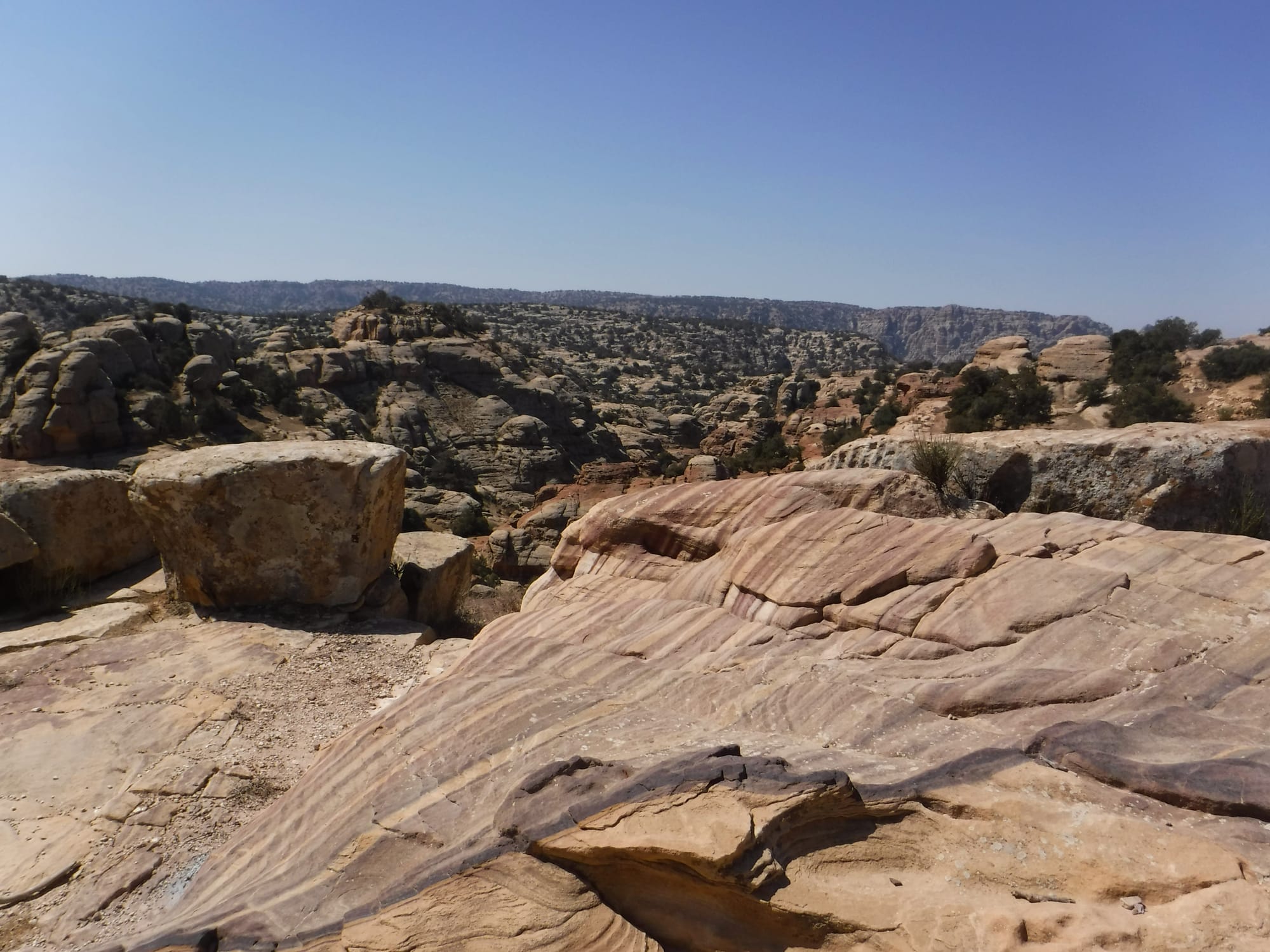 Shaq El Reesh area (Dana)