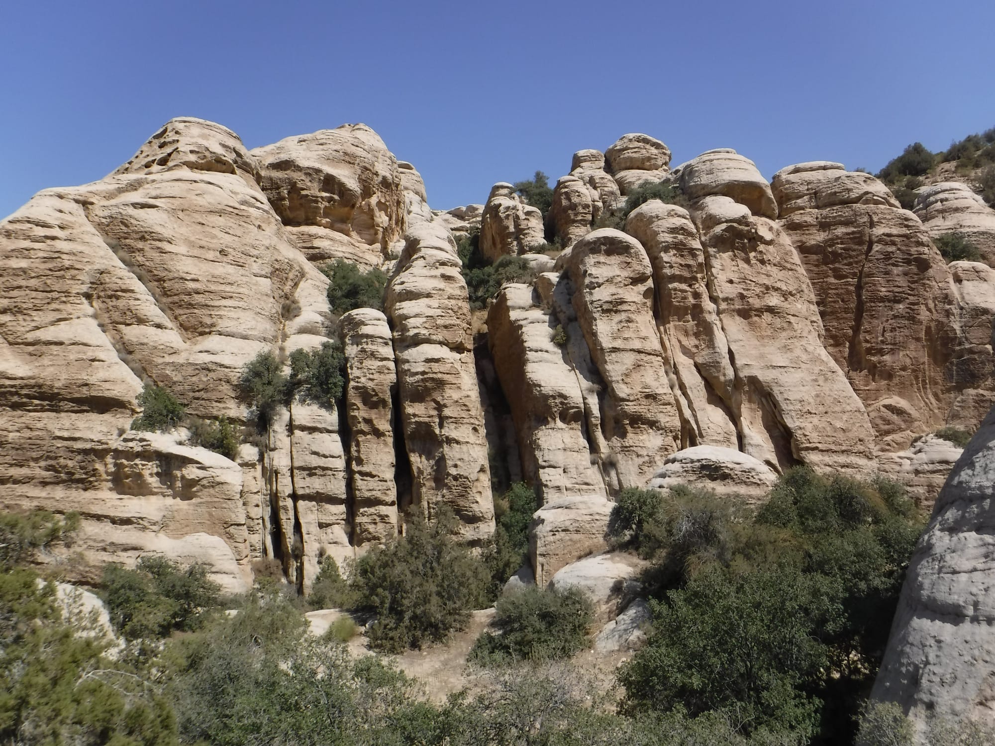 Shaq El Reesh area (Dana)