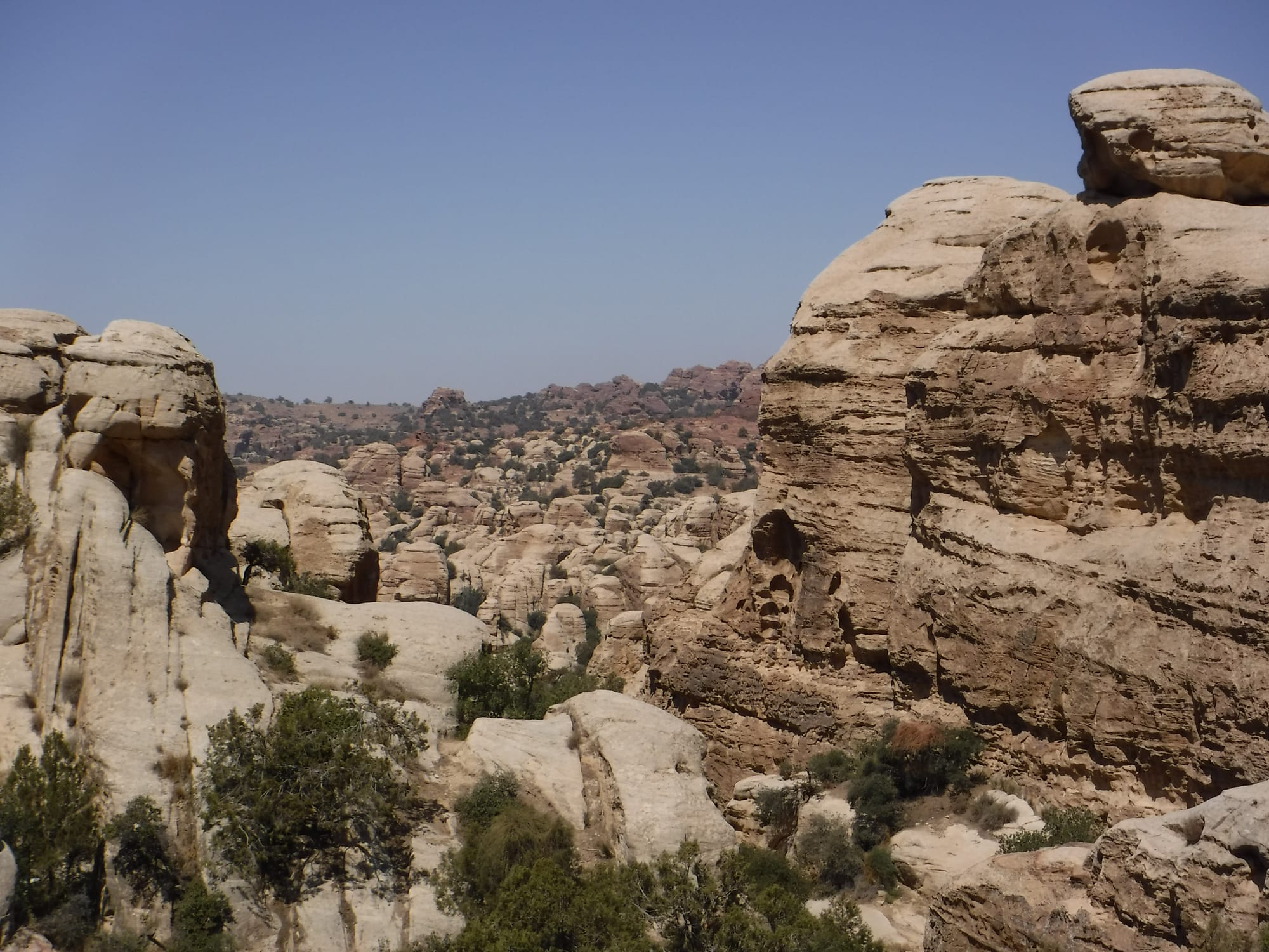 Shaq El Reesh area (Dana)