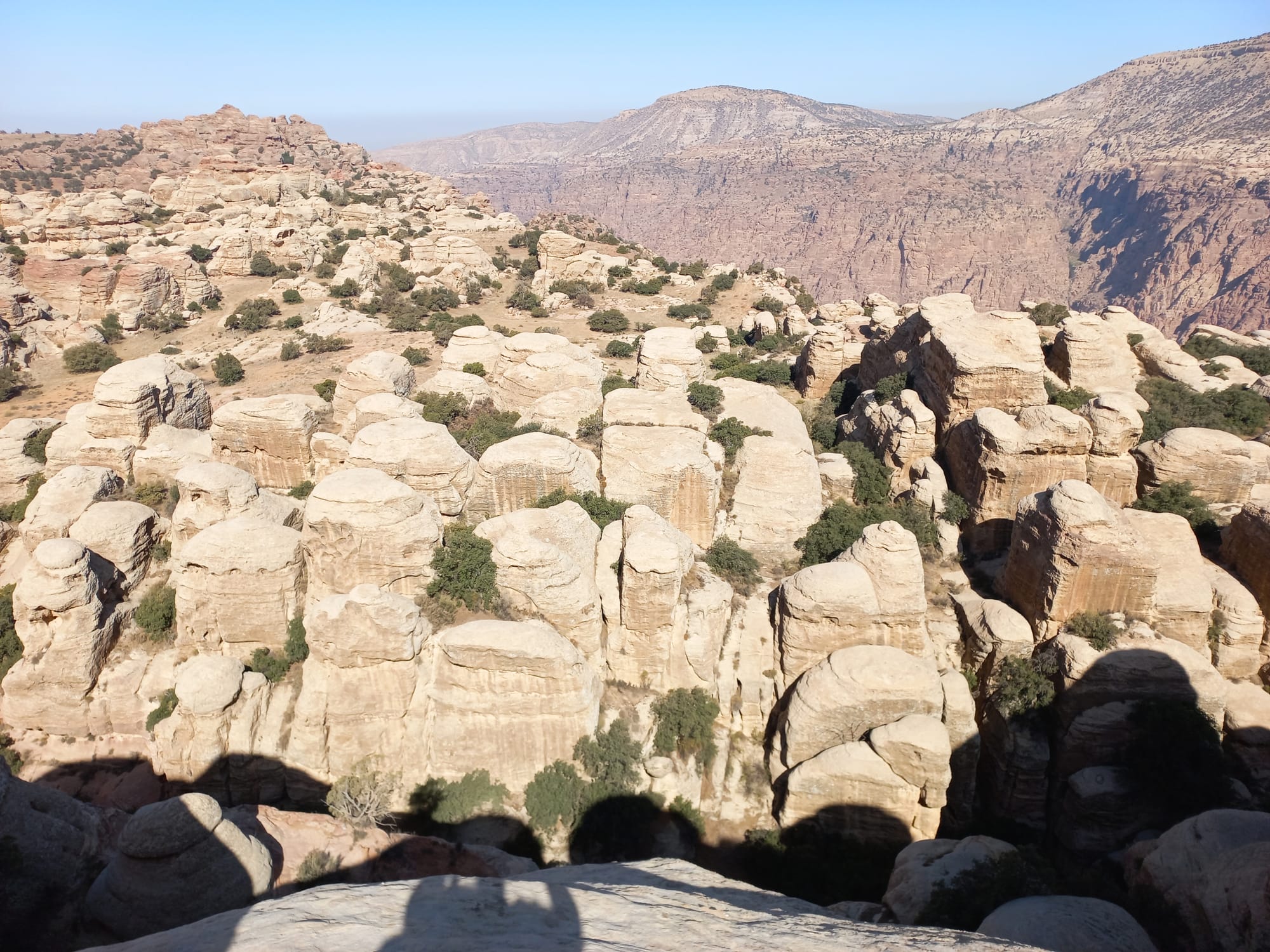 Shaq El Reesh area (Dana)