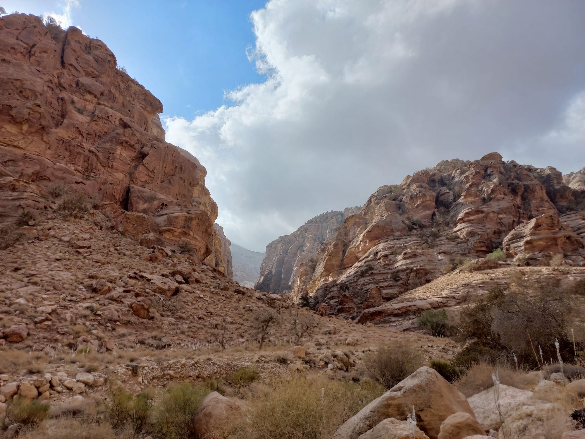 Wadi Sillam and Sid El Aide (Shobak area)