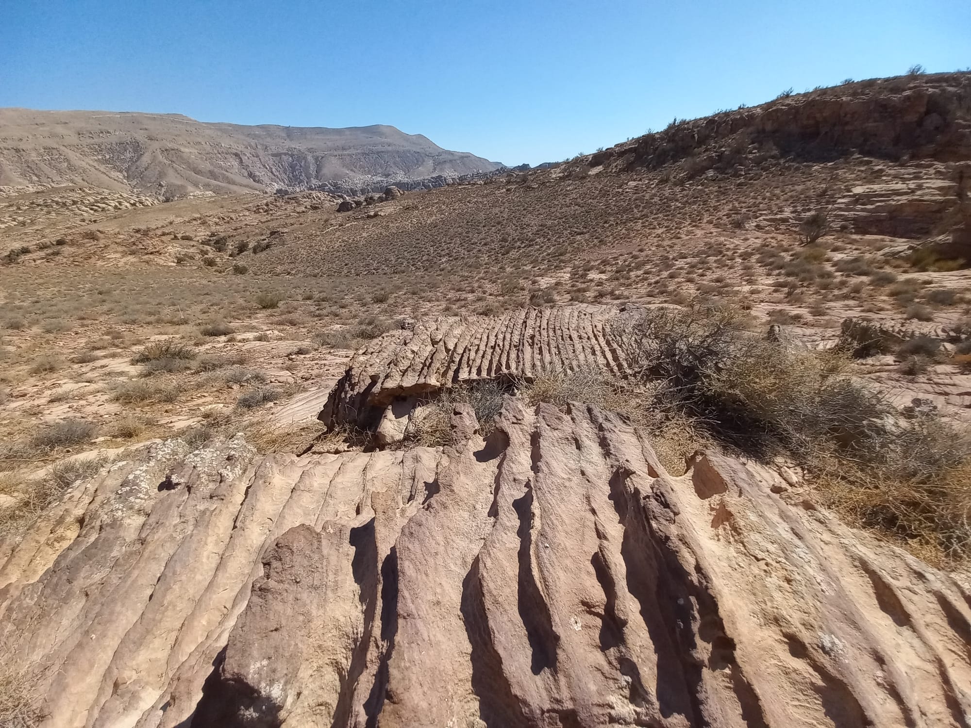 Wadi Sillam and Sid El Aide (Shobak area)