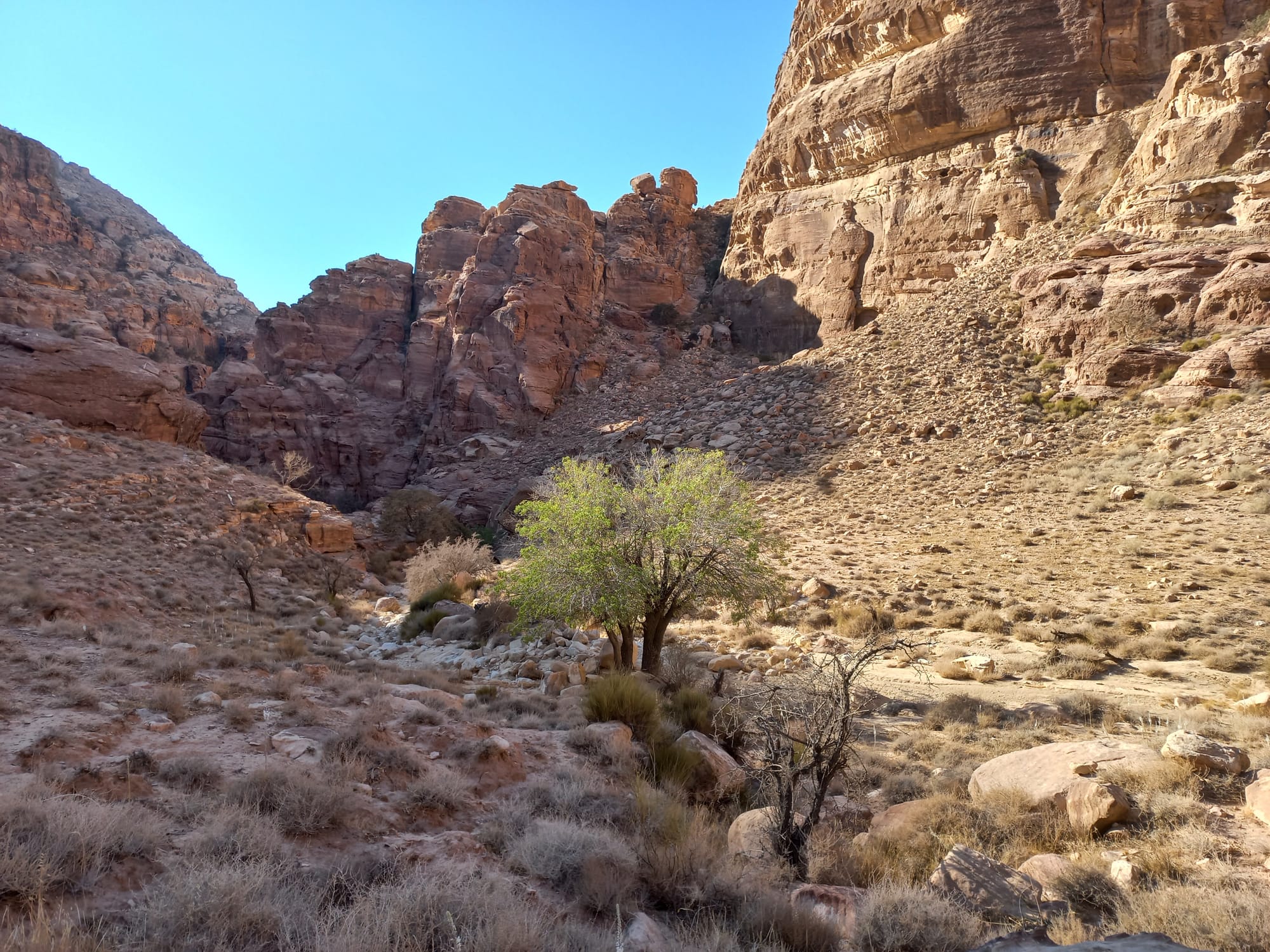 Wadi Sillam and Sid El Aide (Shobak area)