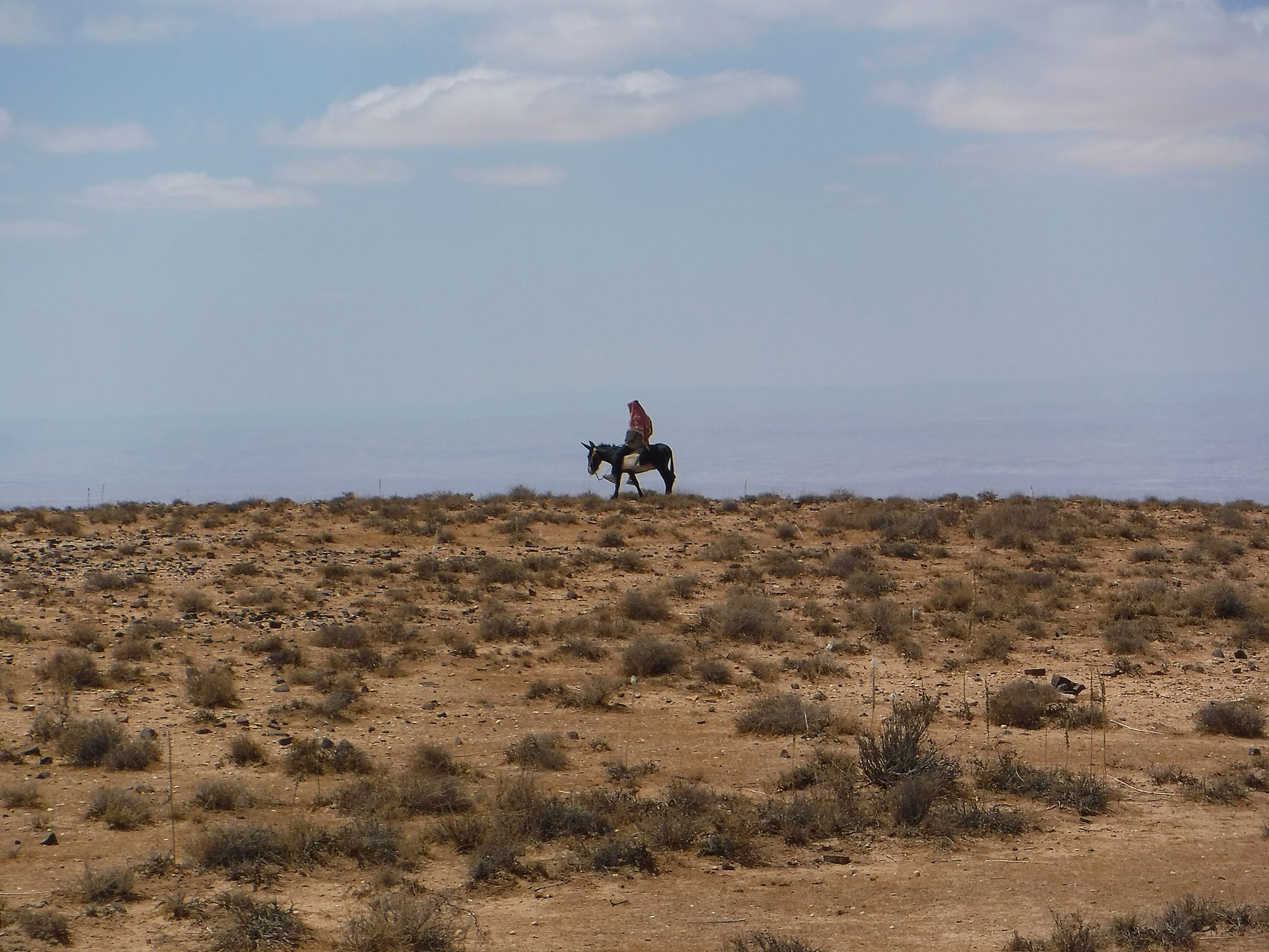 Wadi Sillam and Sid El Aide (Shobak area)