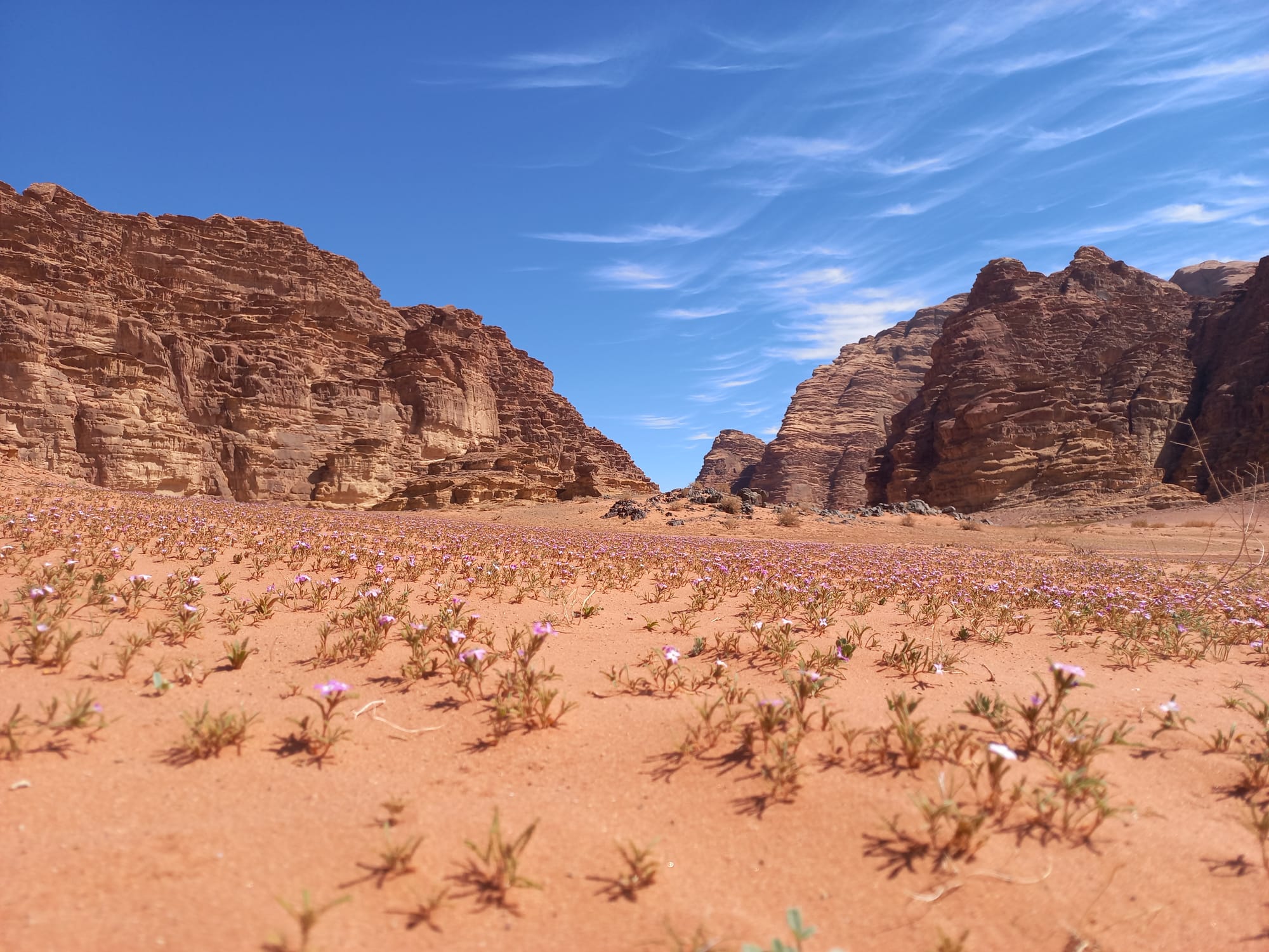 Wadi Rum landscapes 
