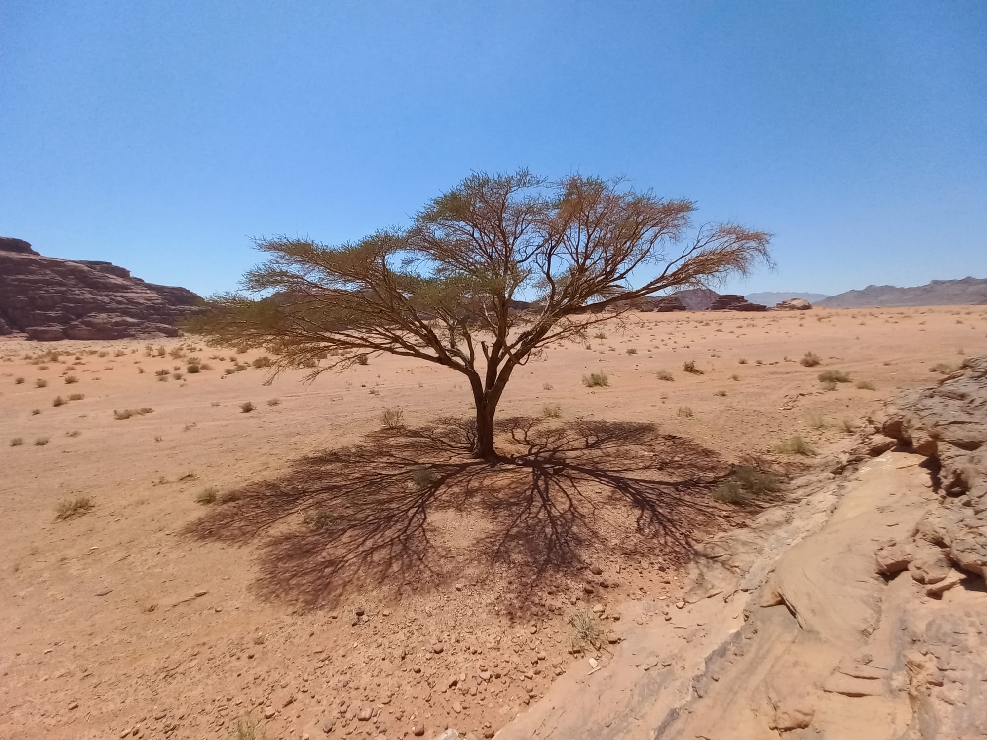 Wadi Rum landscapes 
