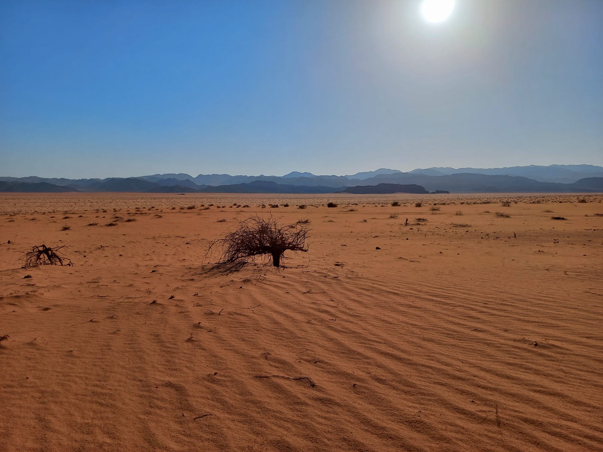Wadi Rum landscapes 