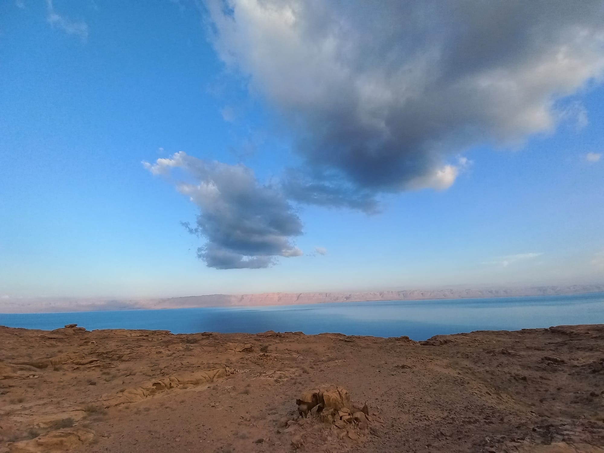 Dead Sea 