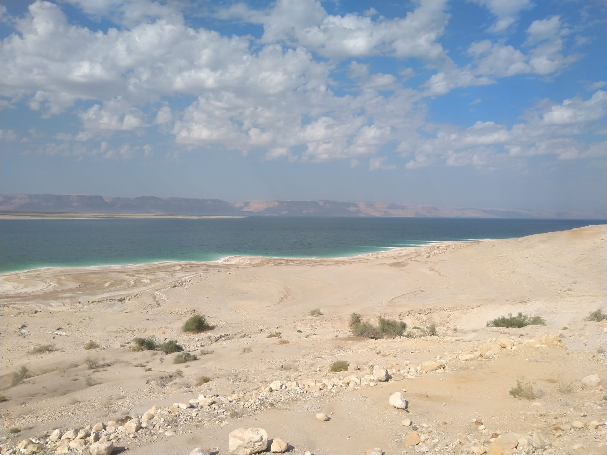 Dead Sea 