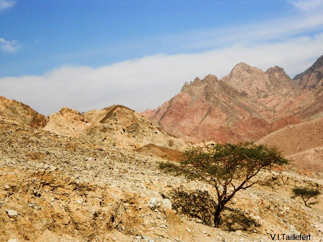 The granitic areas of South Jordan