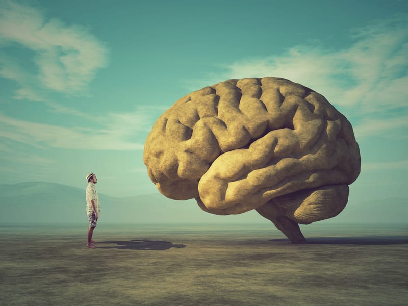 How To Increase Your Brain Plasticity And Health With Exercise