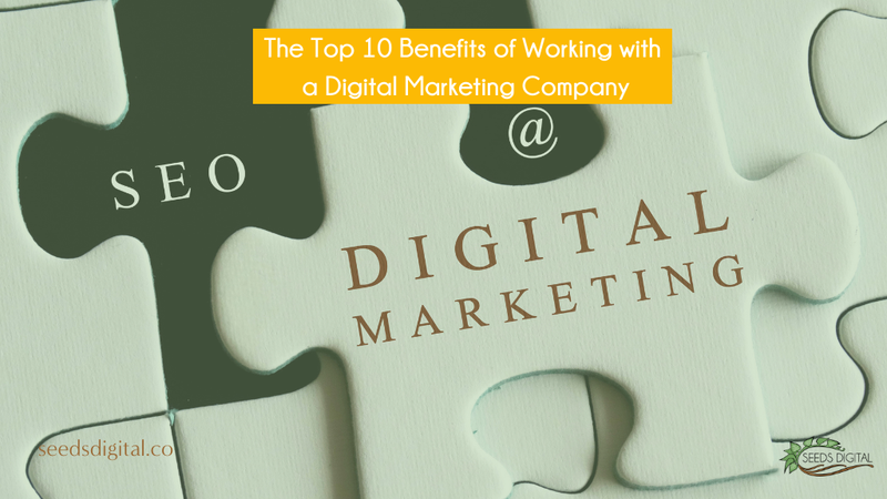 The Top 10 Benefits of Working with a NJ Digital Marketing Company - Seeds Digital Marketing