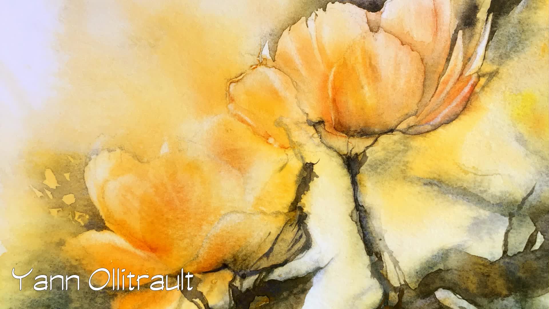 Biographie video thumbnail