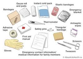 What to put in your First Aid Kit image