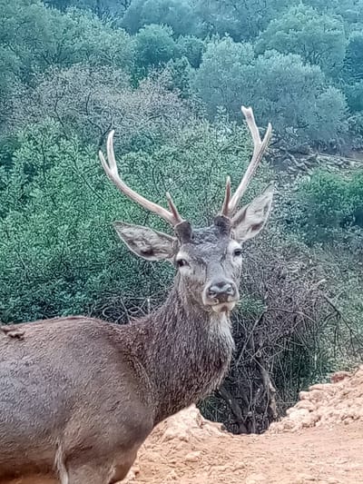 Mâguidance - Lecture d&#039;âme - messages mediumniques image